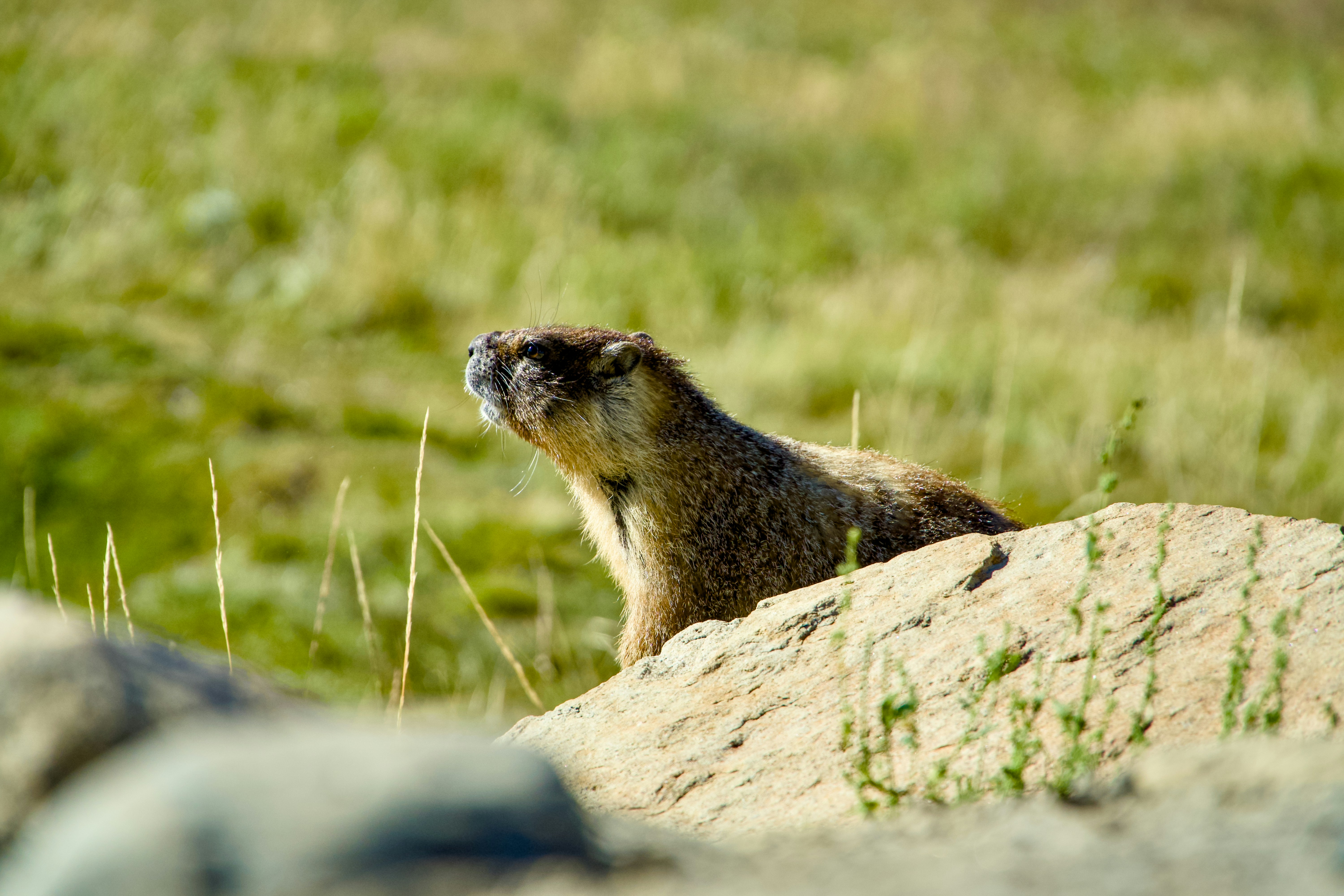 Photo by spencer_demera