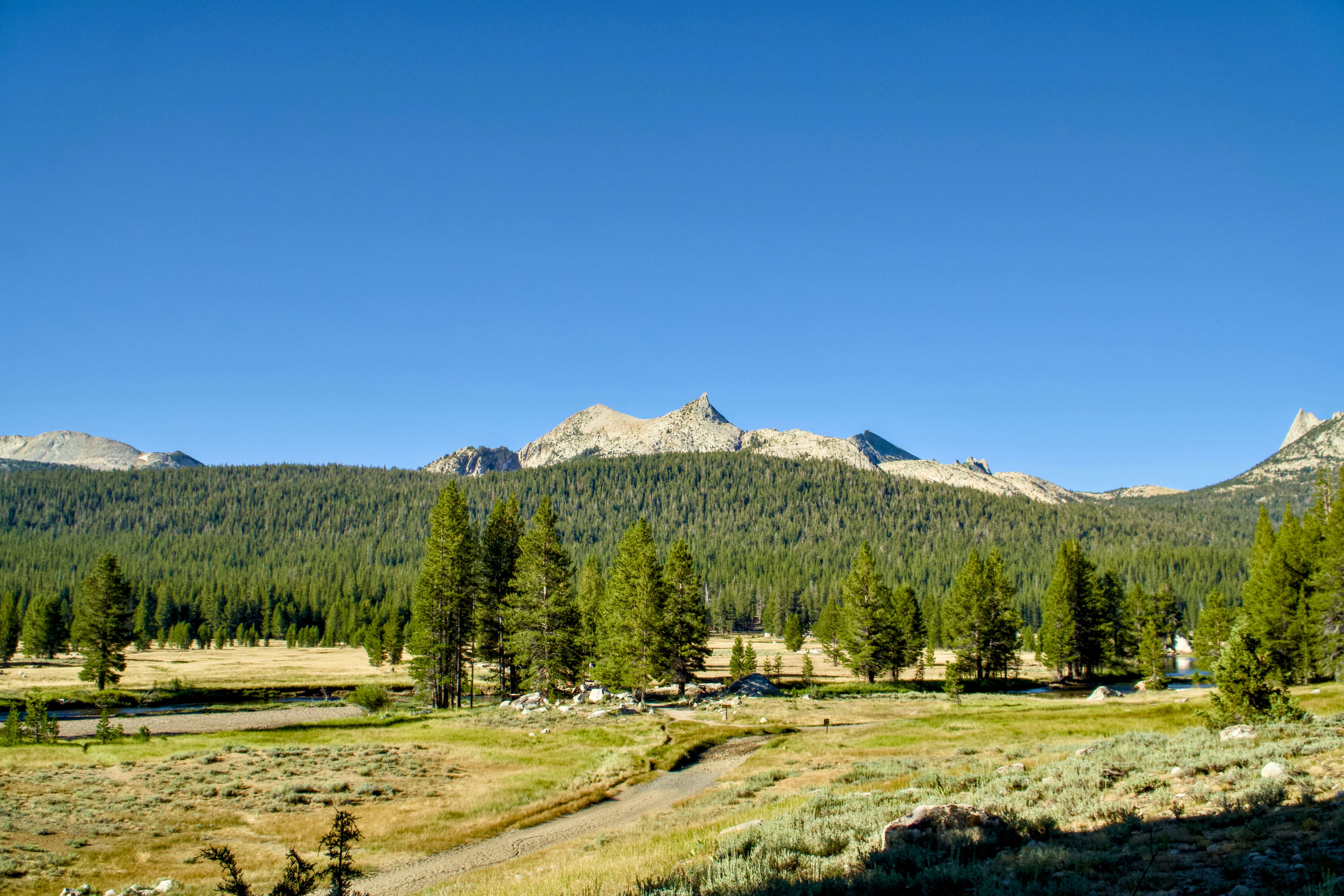 Photo by spencer_demera