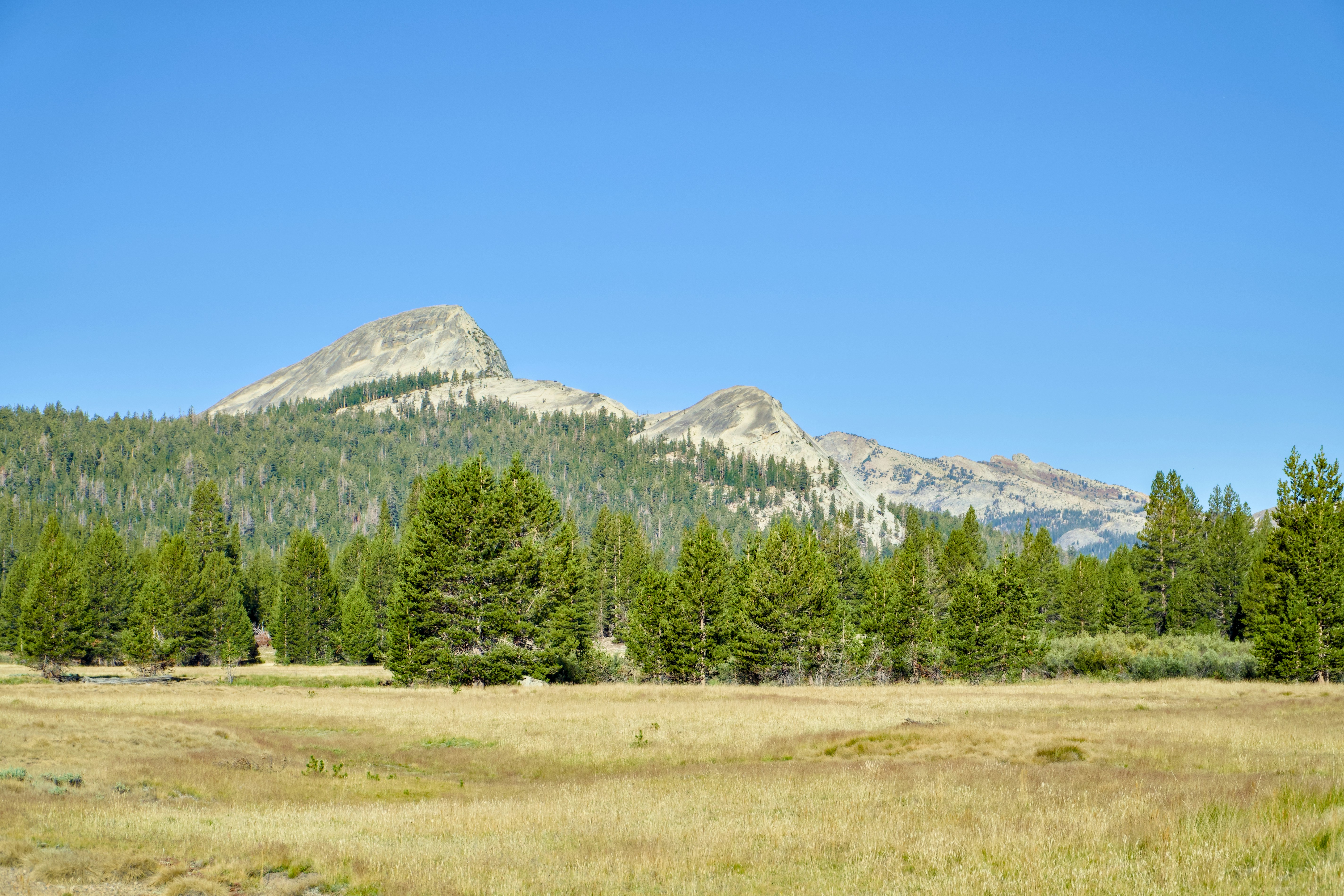 Photo by spencer_demera