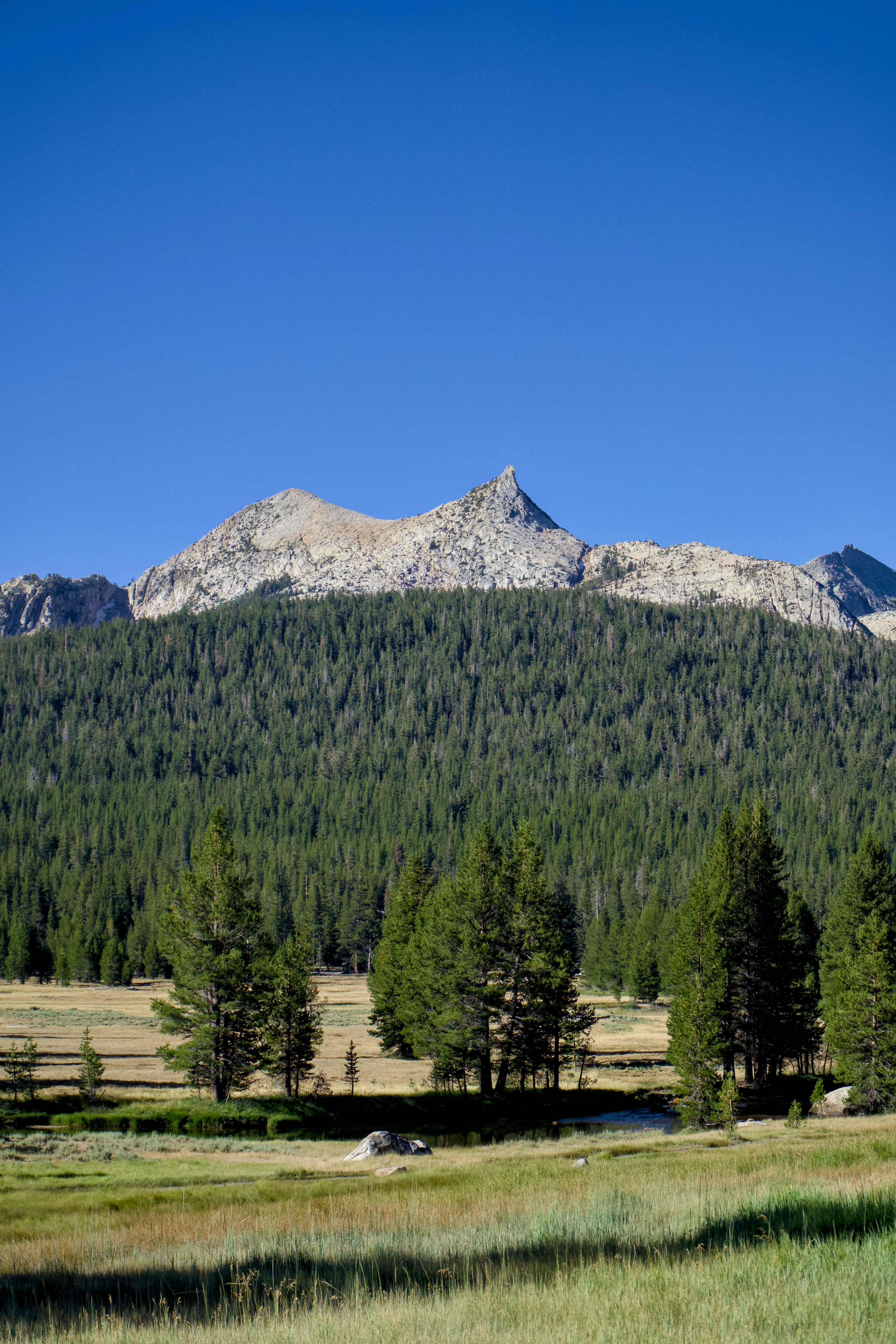 Photo by spencer_demera