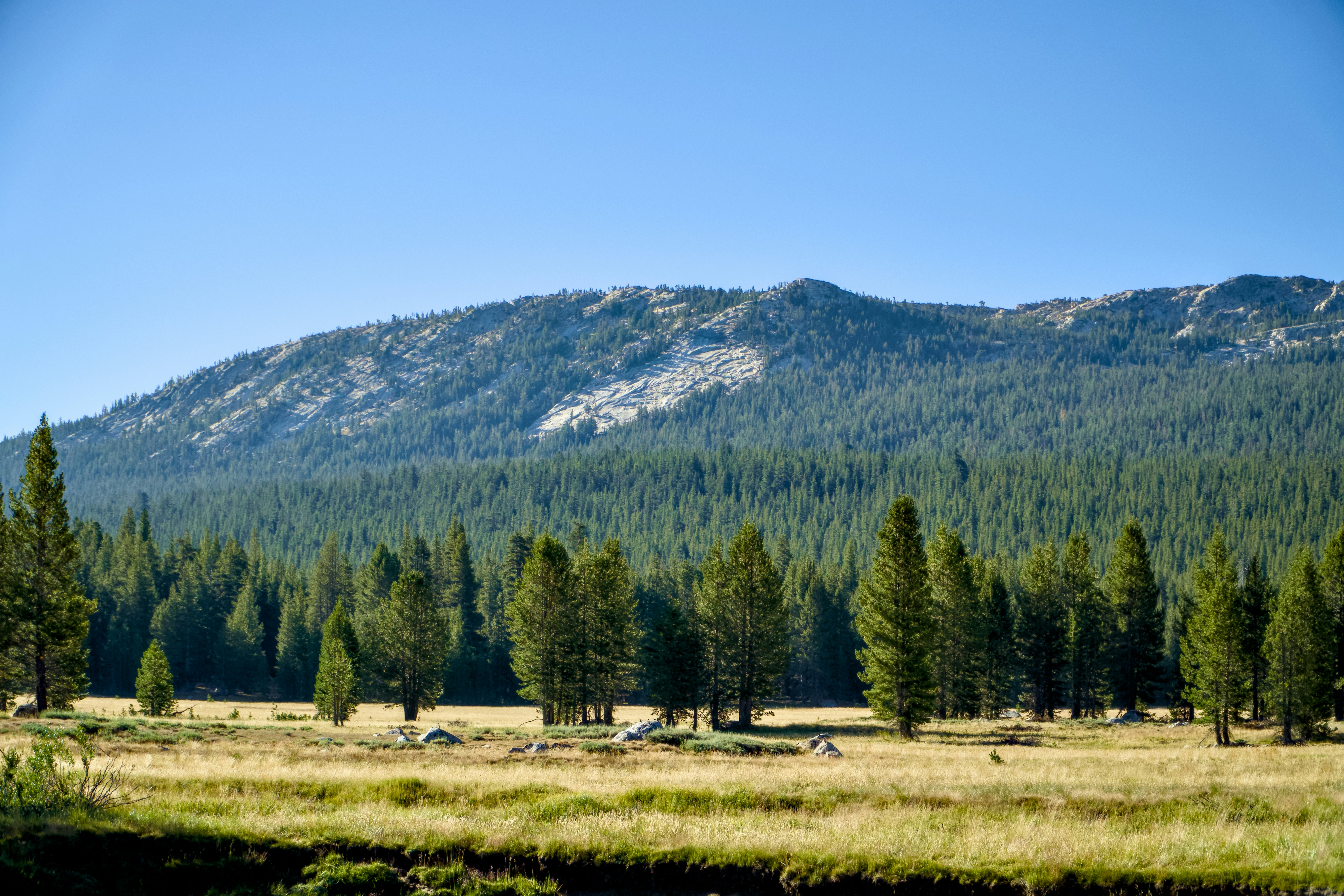 Photo by spencer_demera