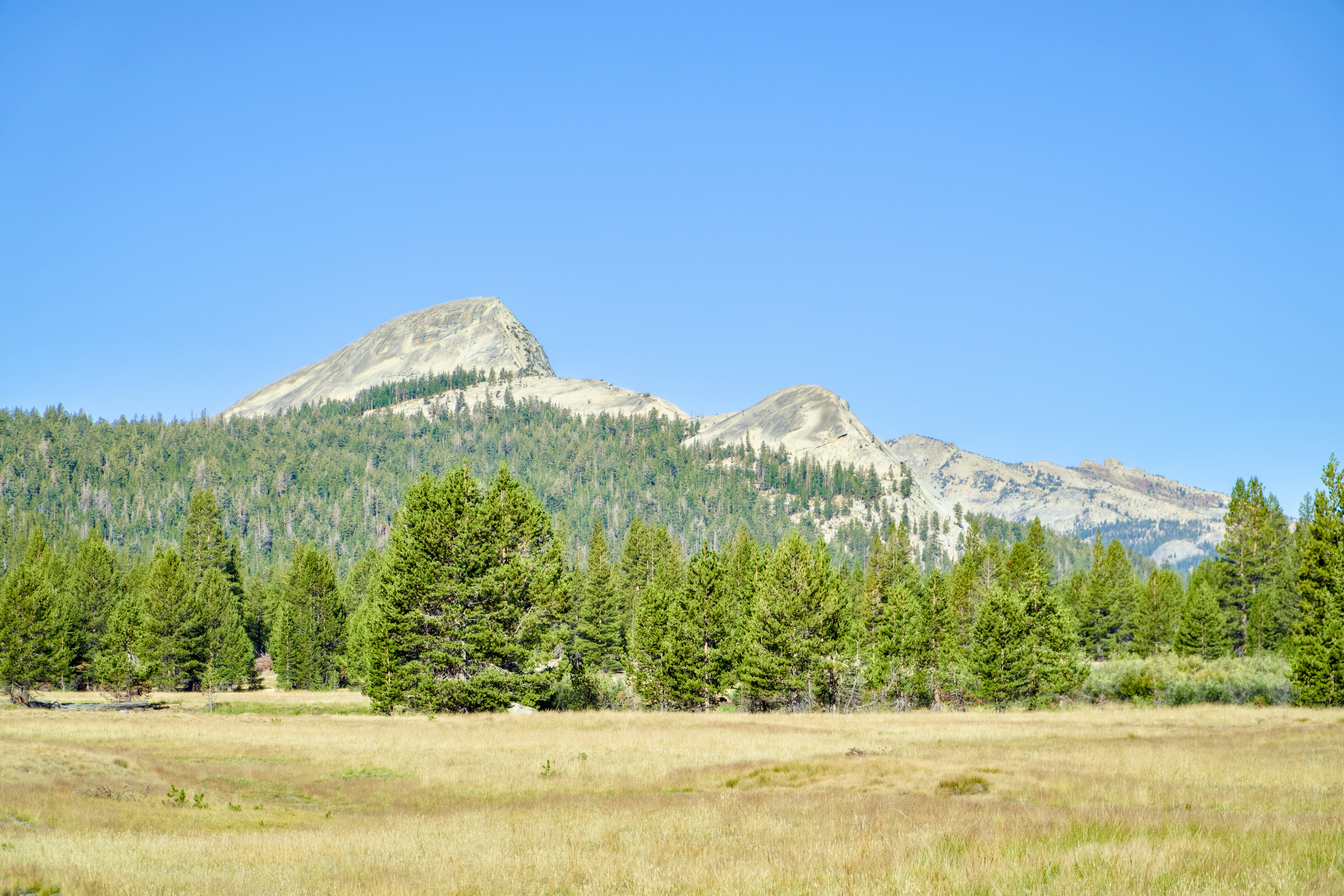 Photo by spencer_demera