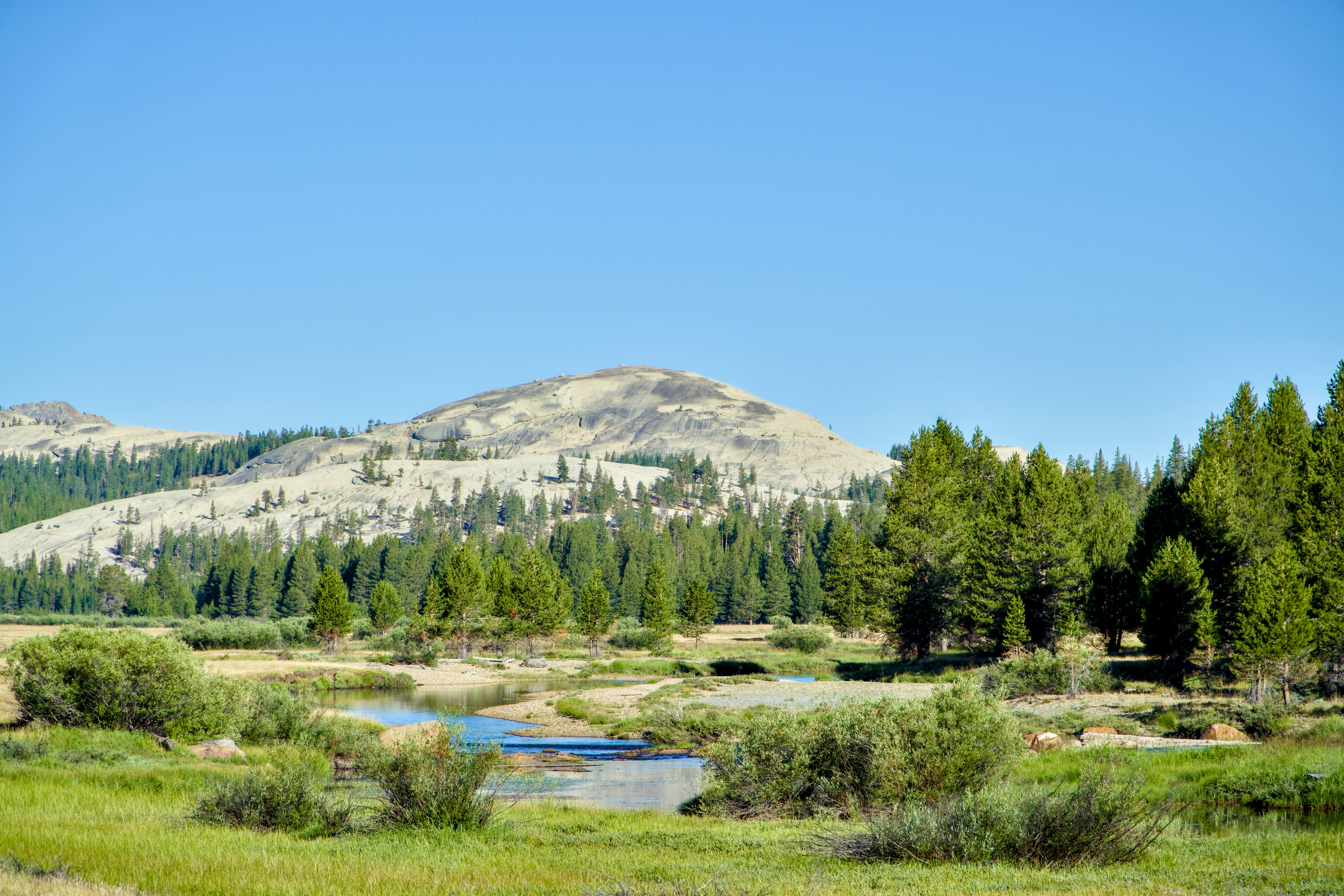 Photo by spencer_demera