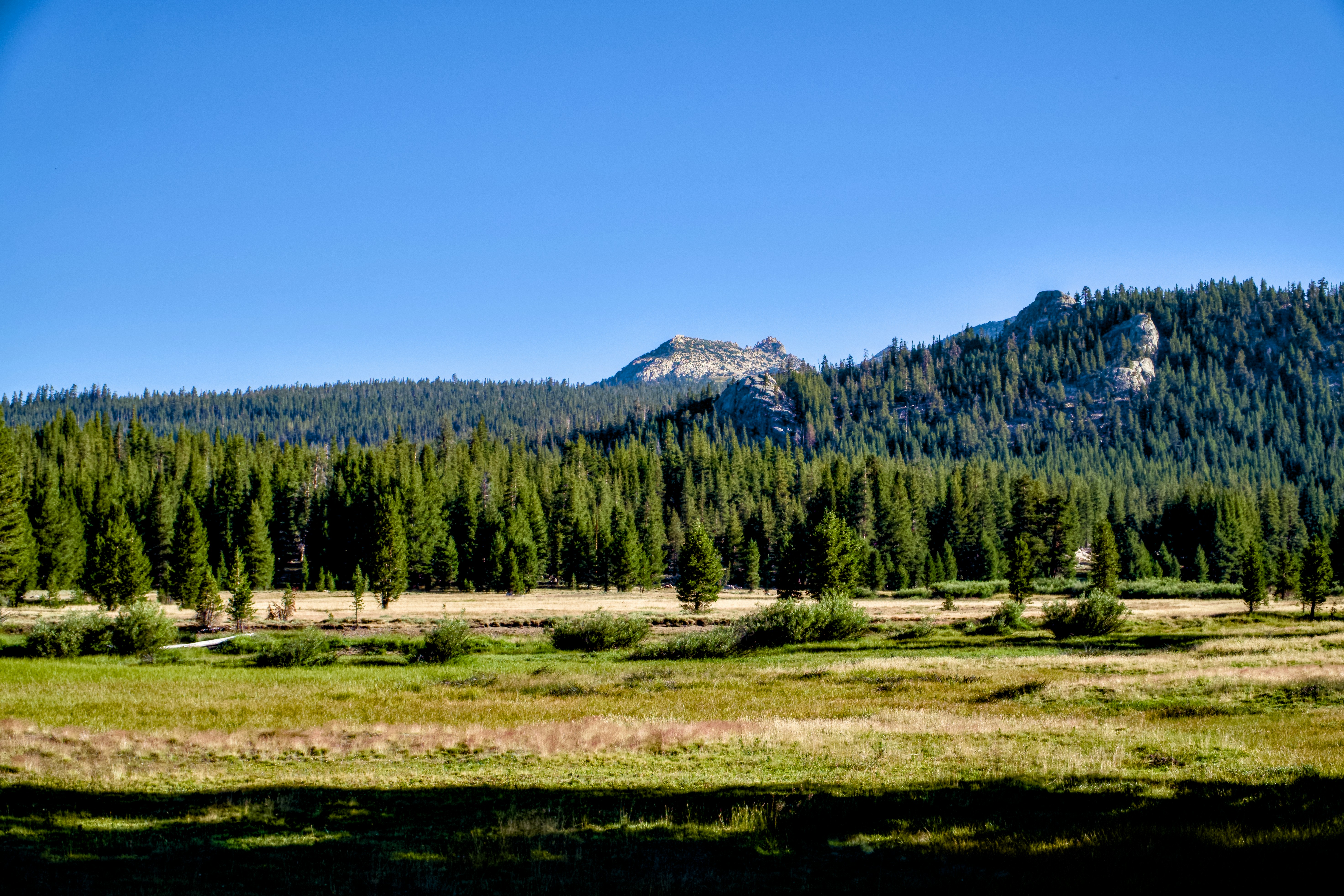 Photo by spencer_demera