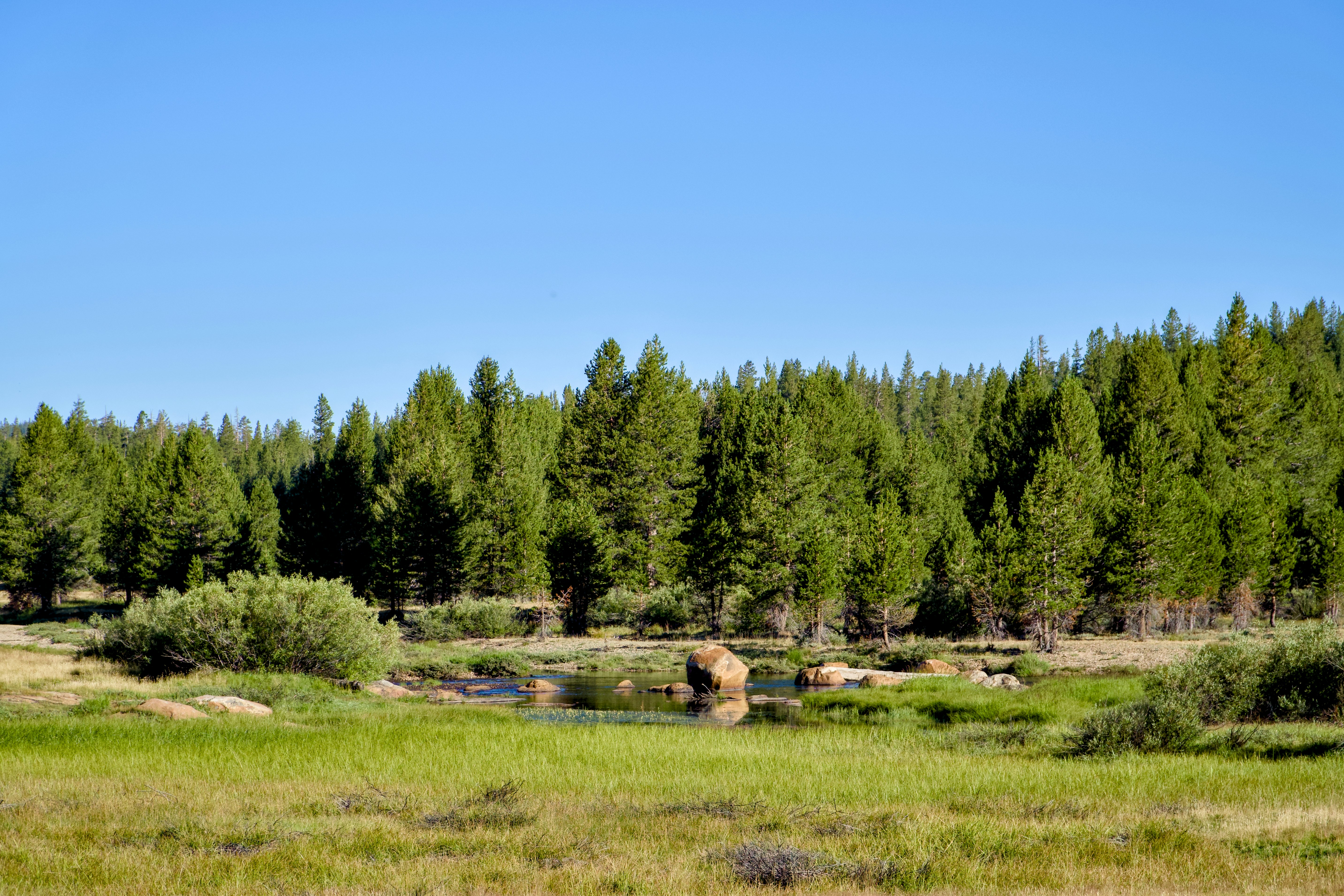 Photo by spencer_demera