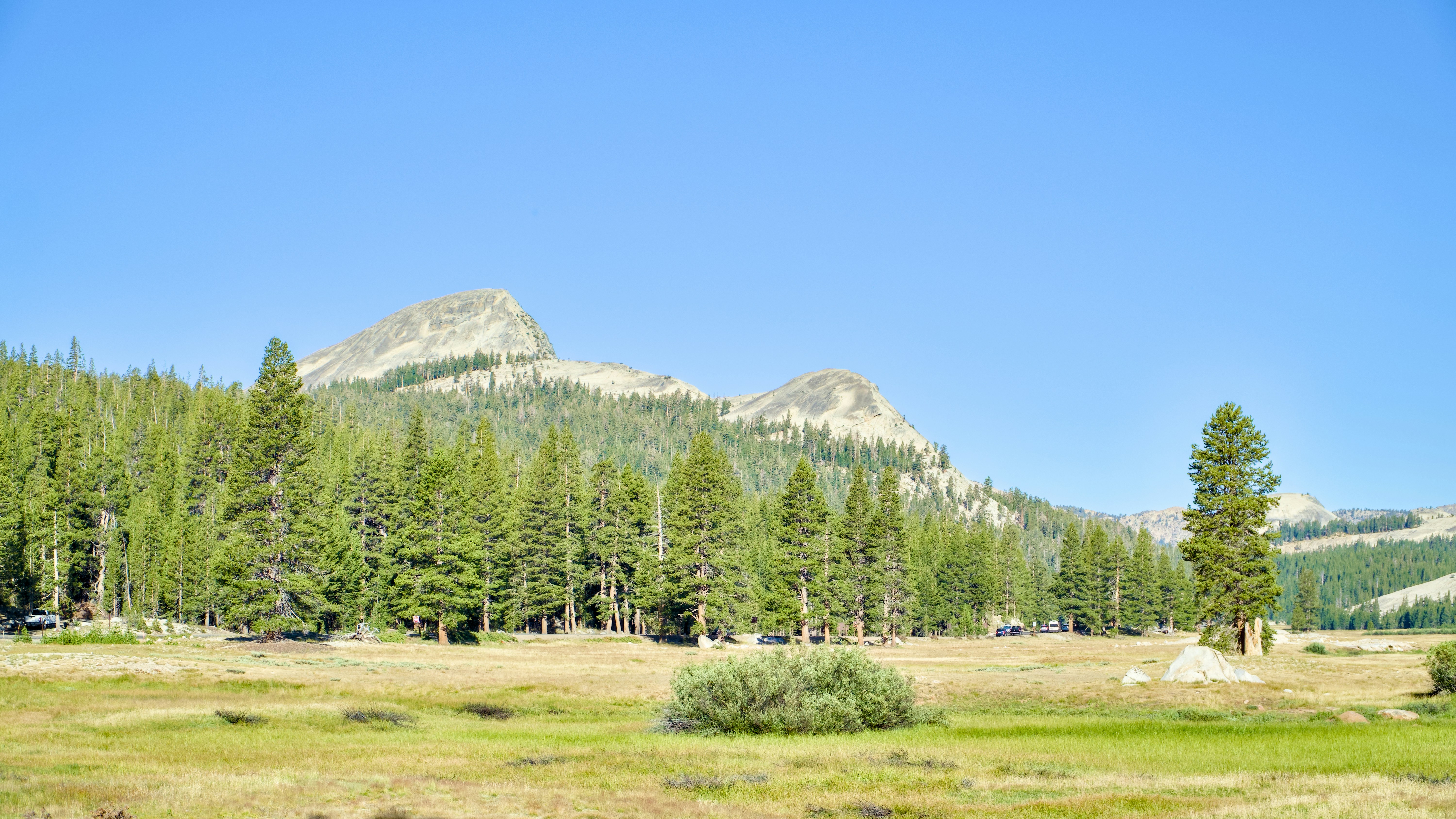 Photo by spencer_demera