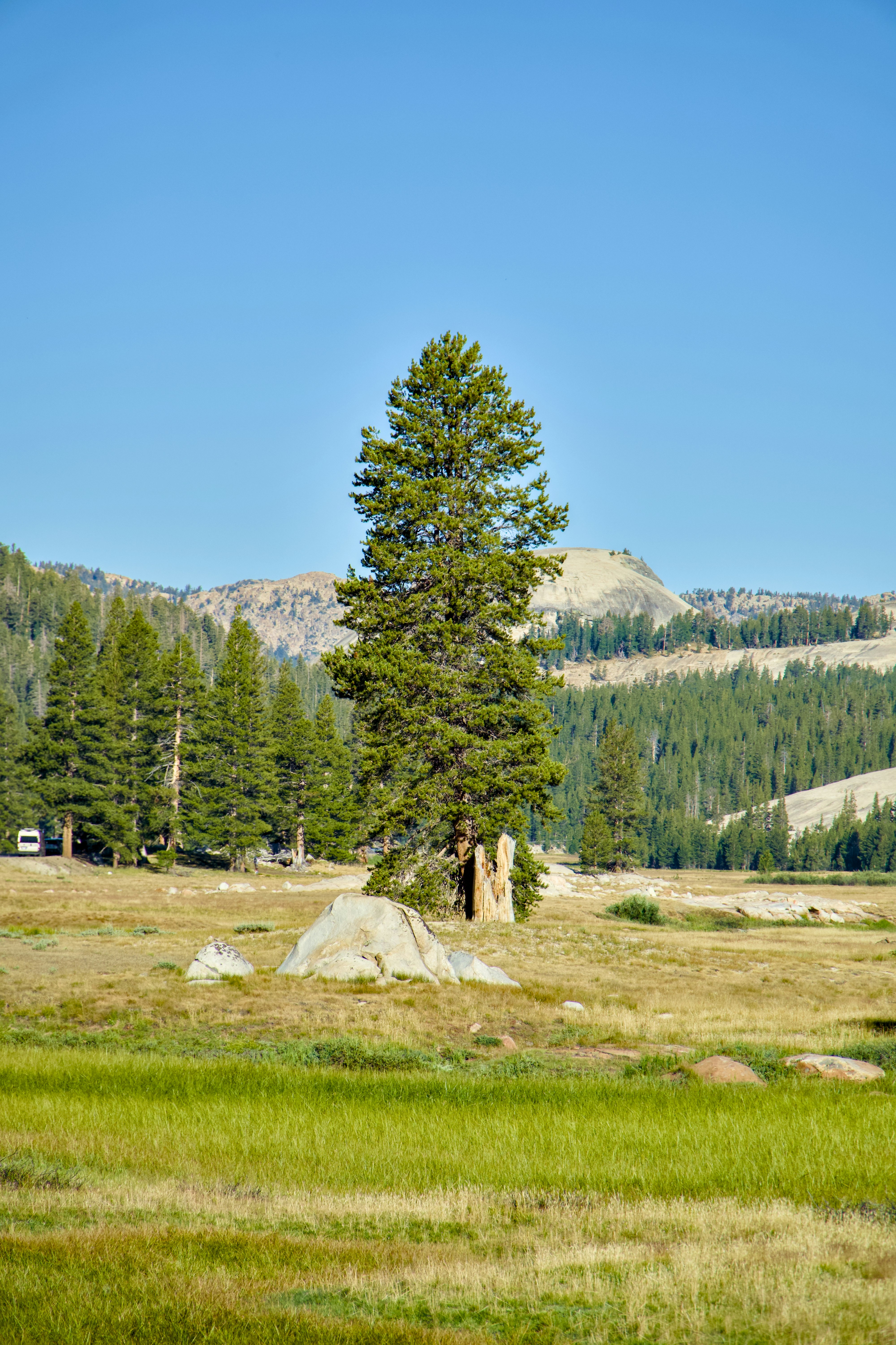 Photo by spencer_demera