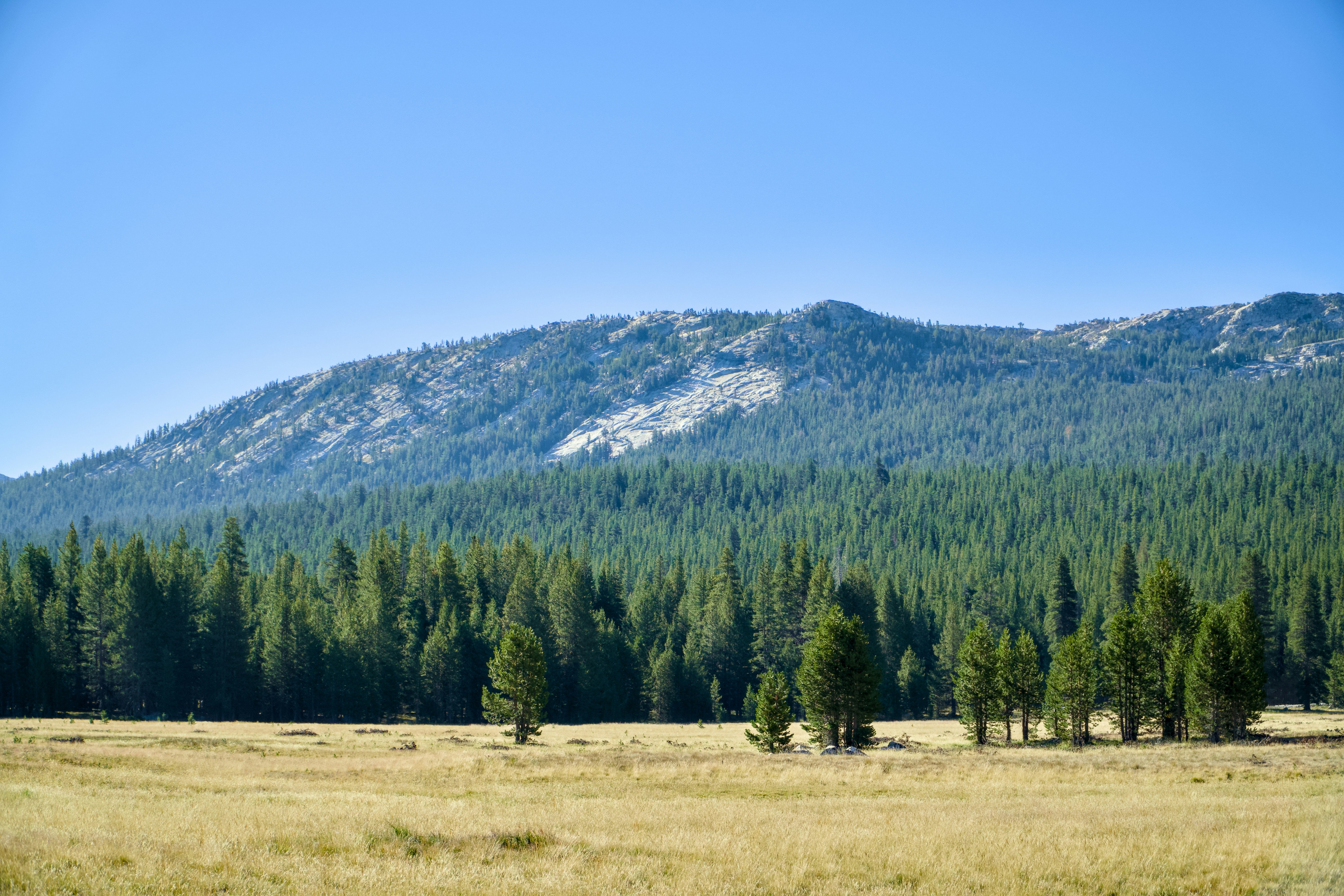 Photo by spencer_demera