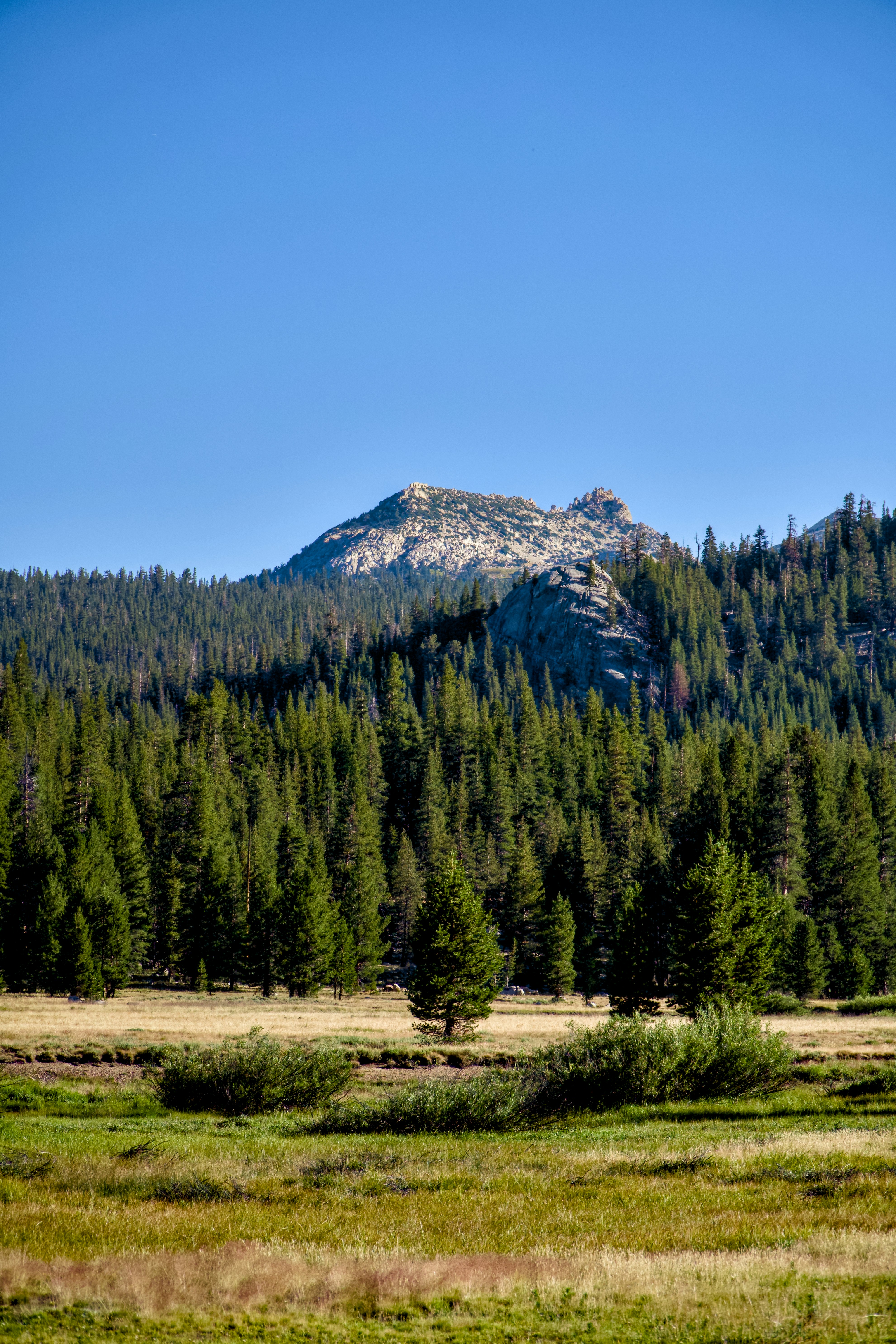 Photo by spencer_demera