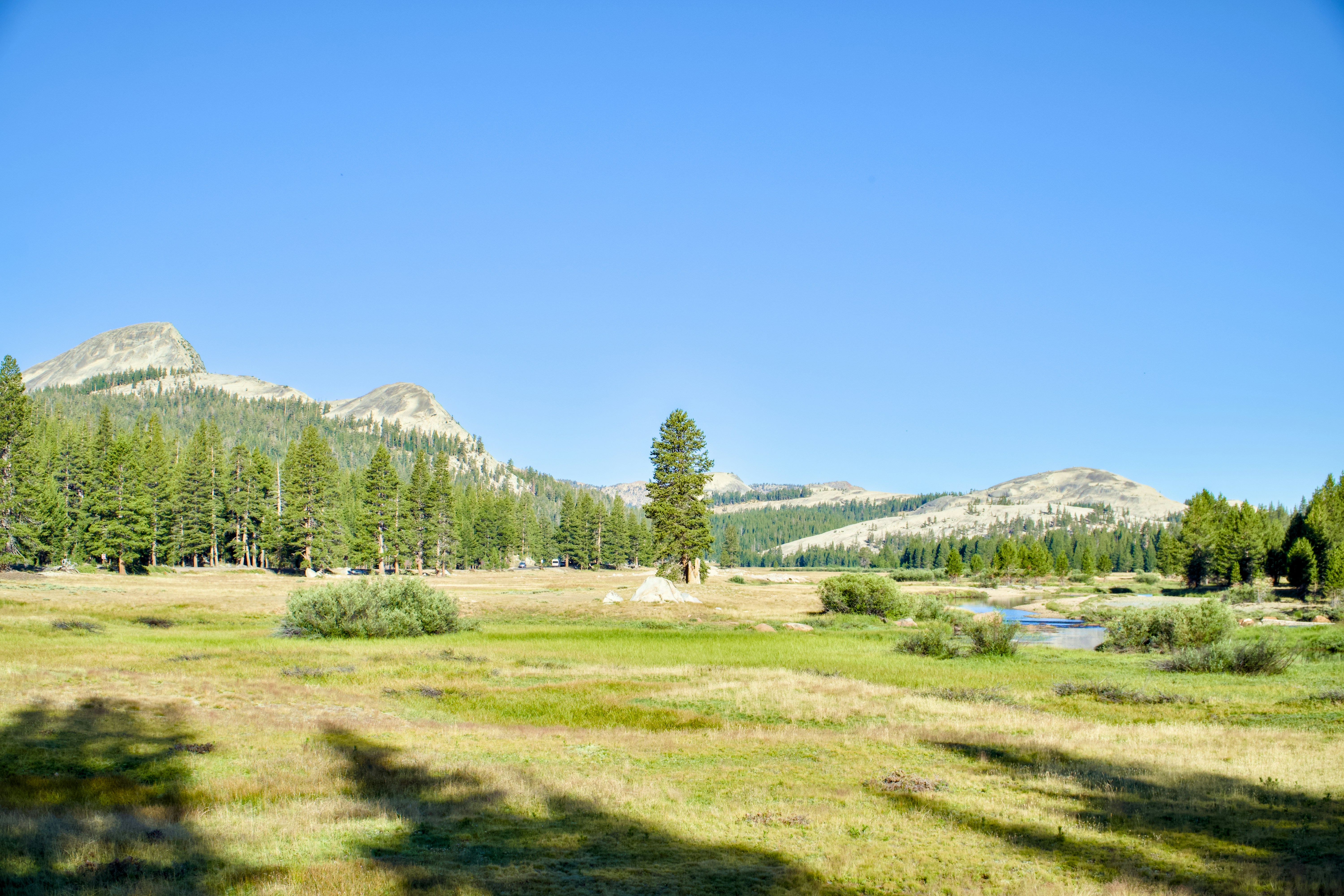 Photo by spencer_demera