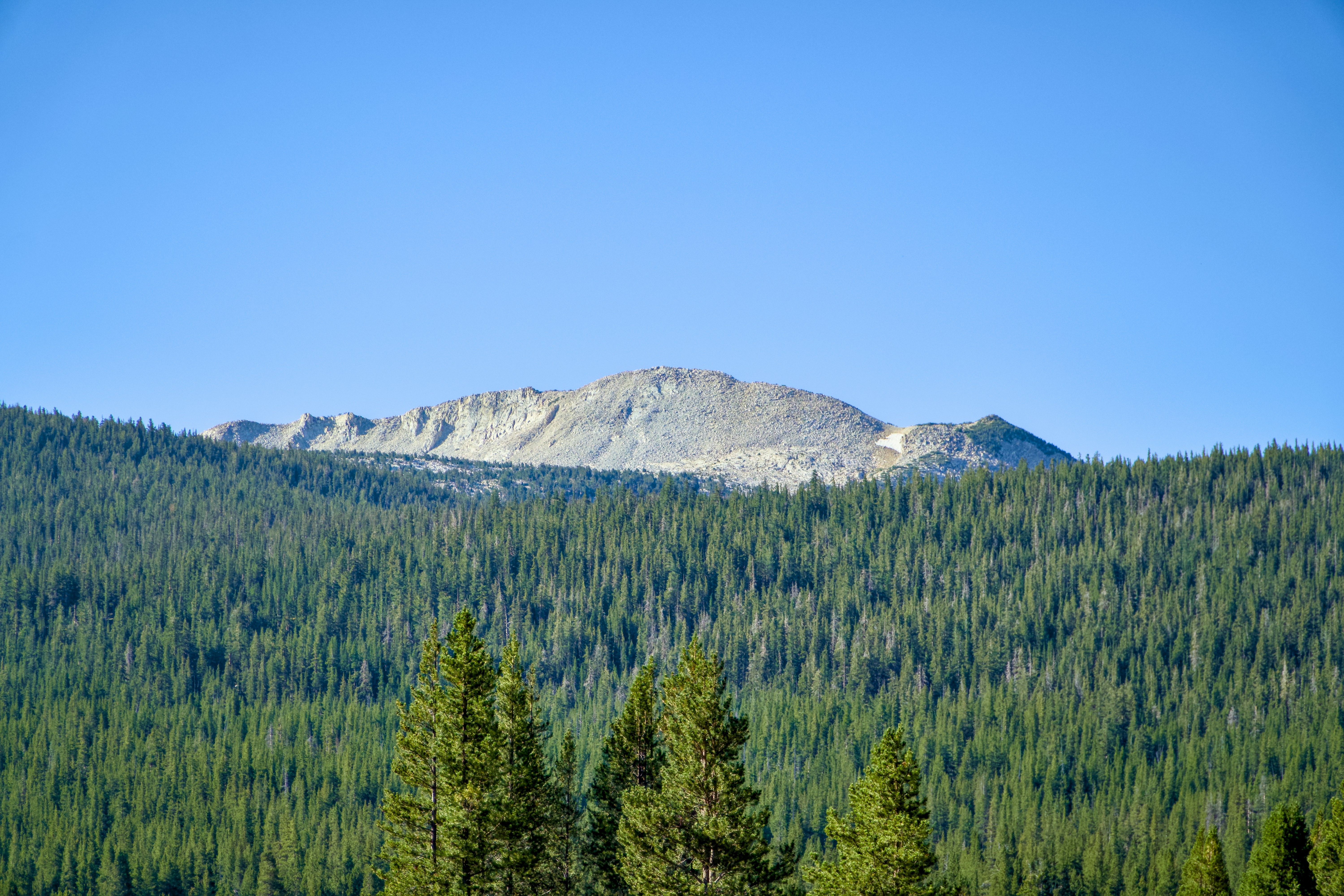 Photo by spencer_demera