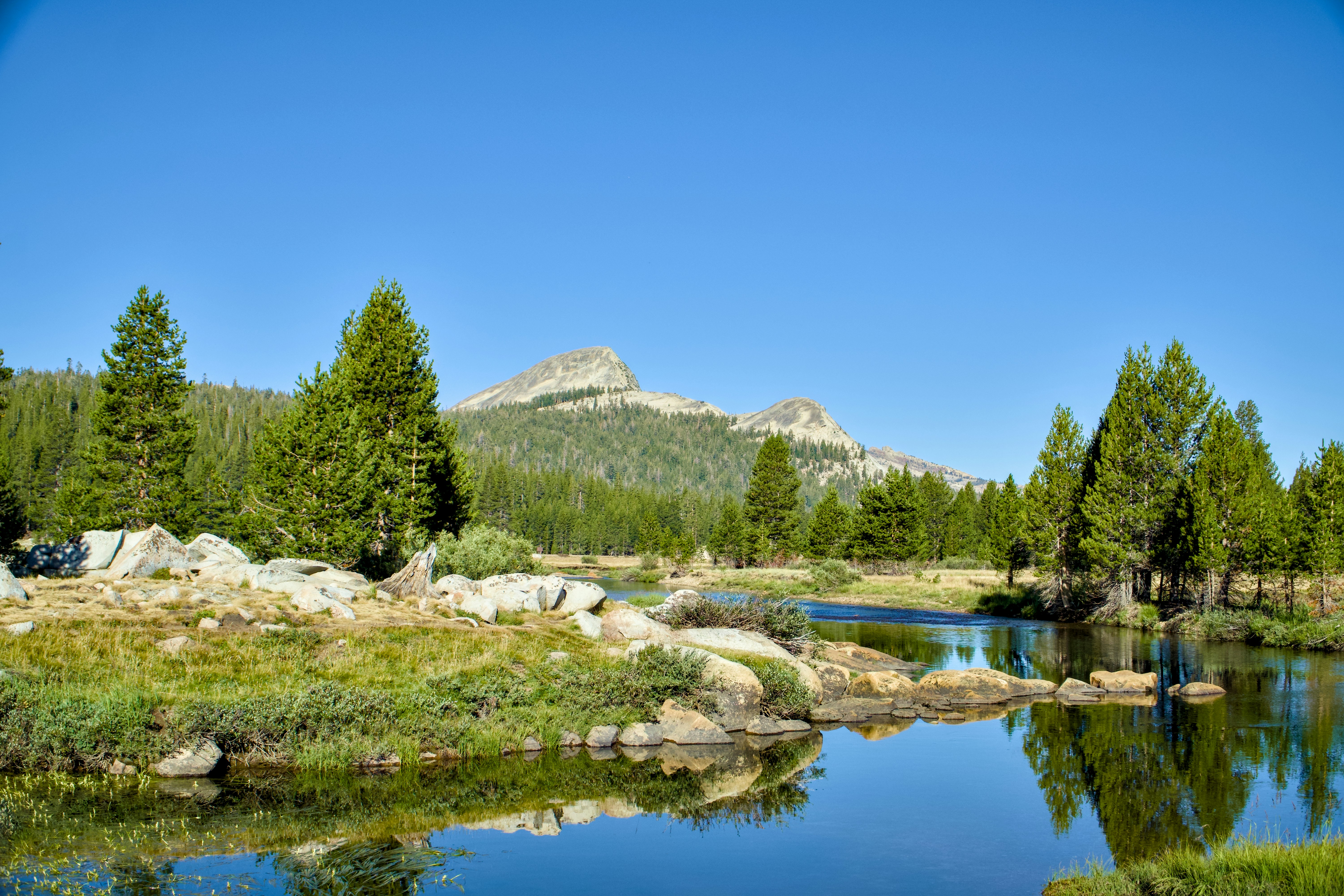Tuolumne Meadows, California