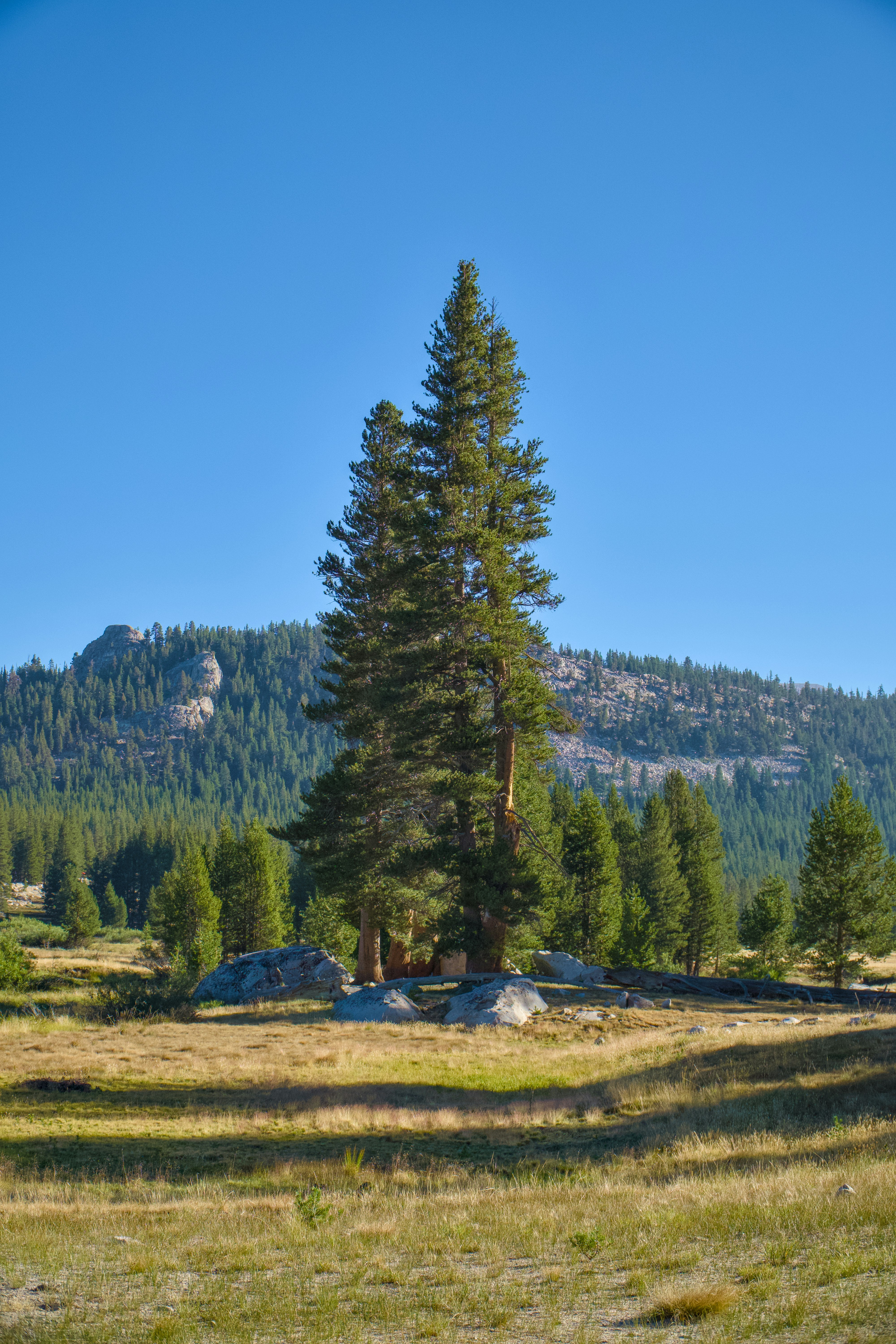 Photo by spencer_demera