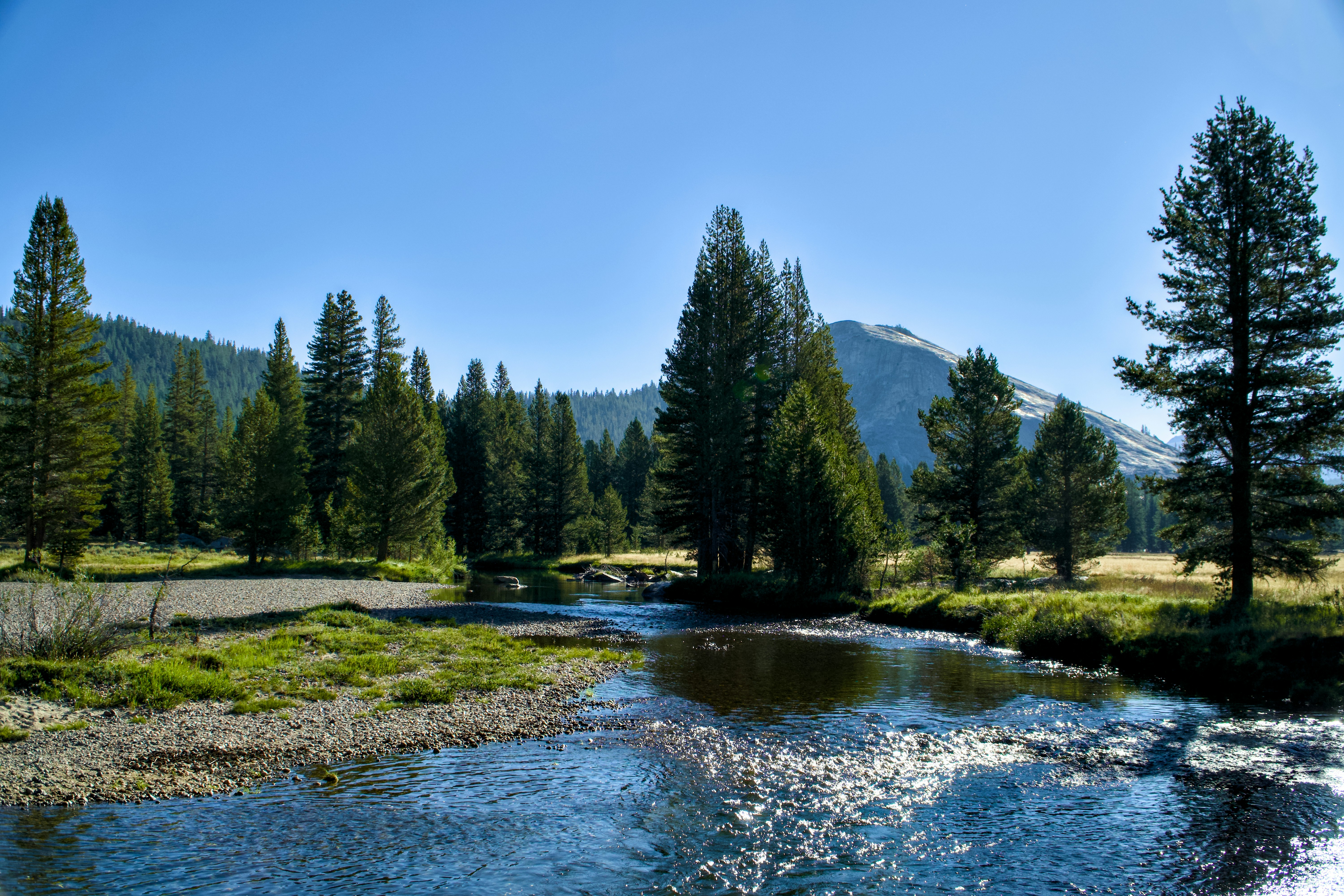 Serce, Szyszynka i Trzecie Oko