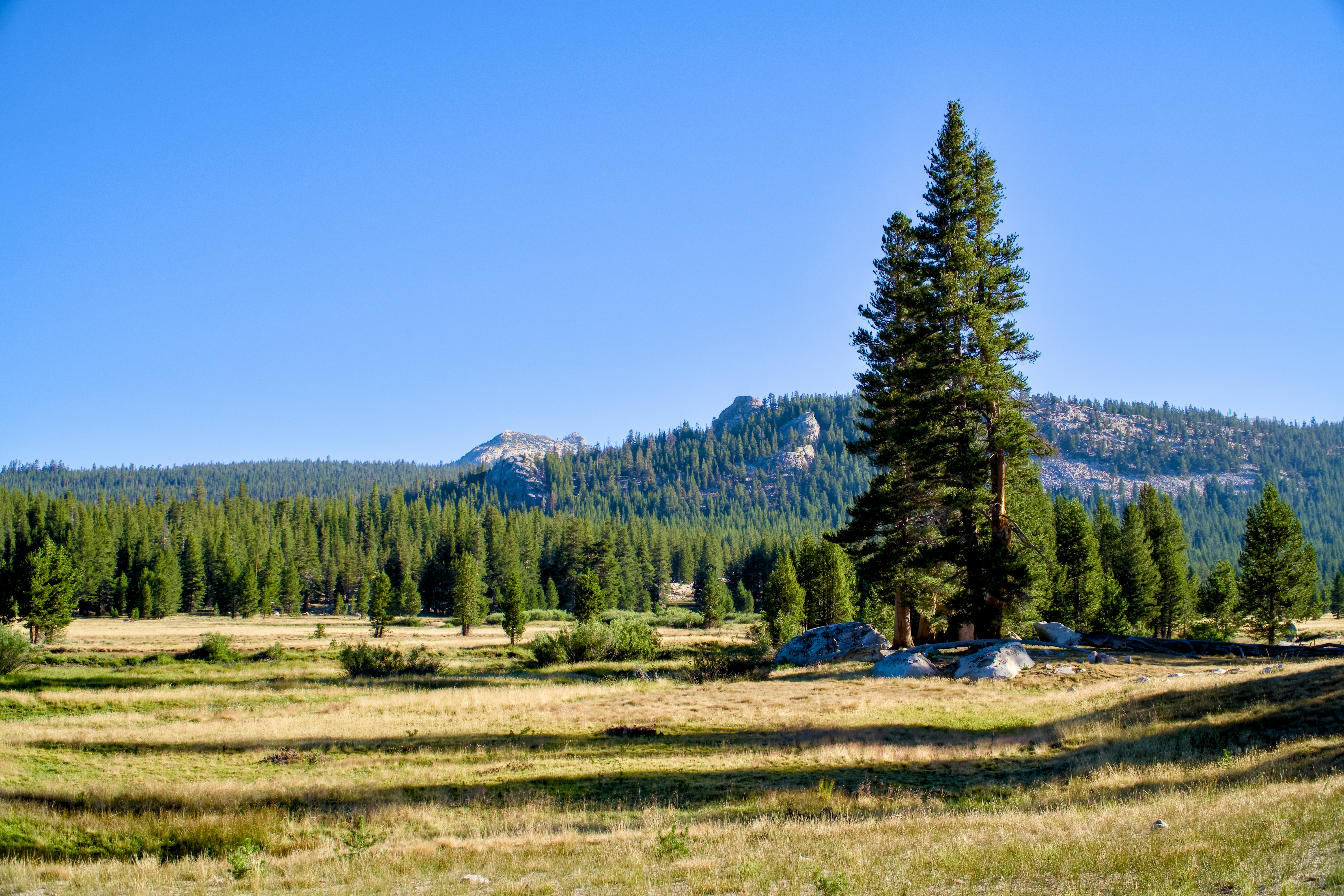 Photo by spencer_demera