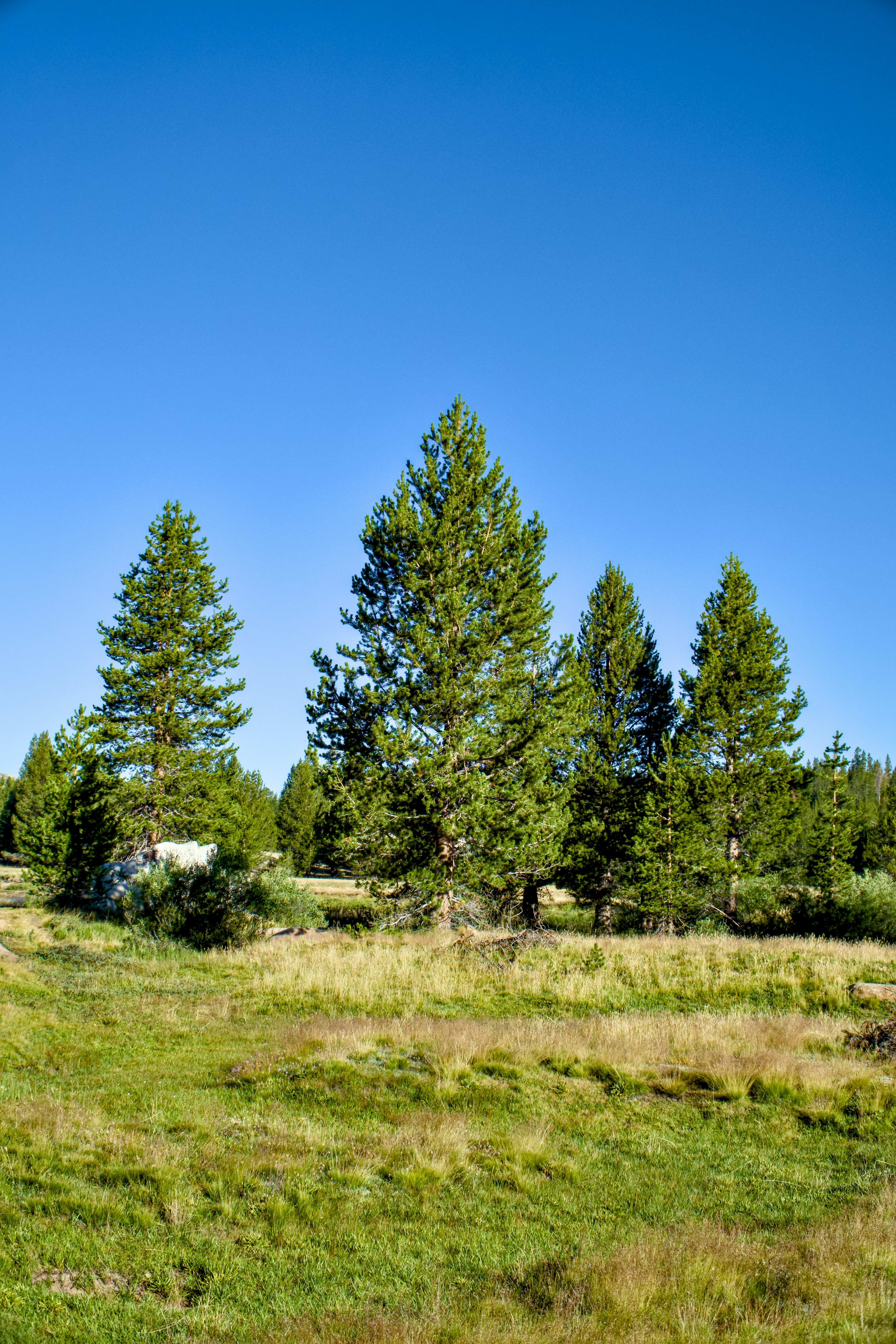 Photo by spencer_demera