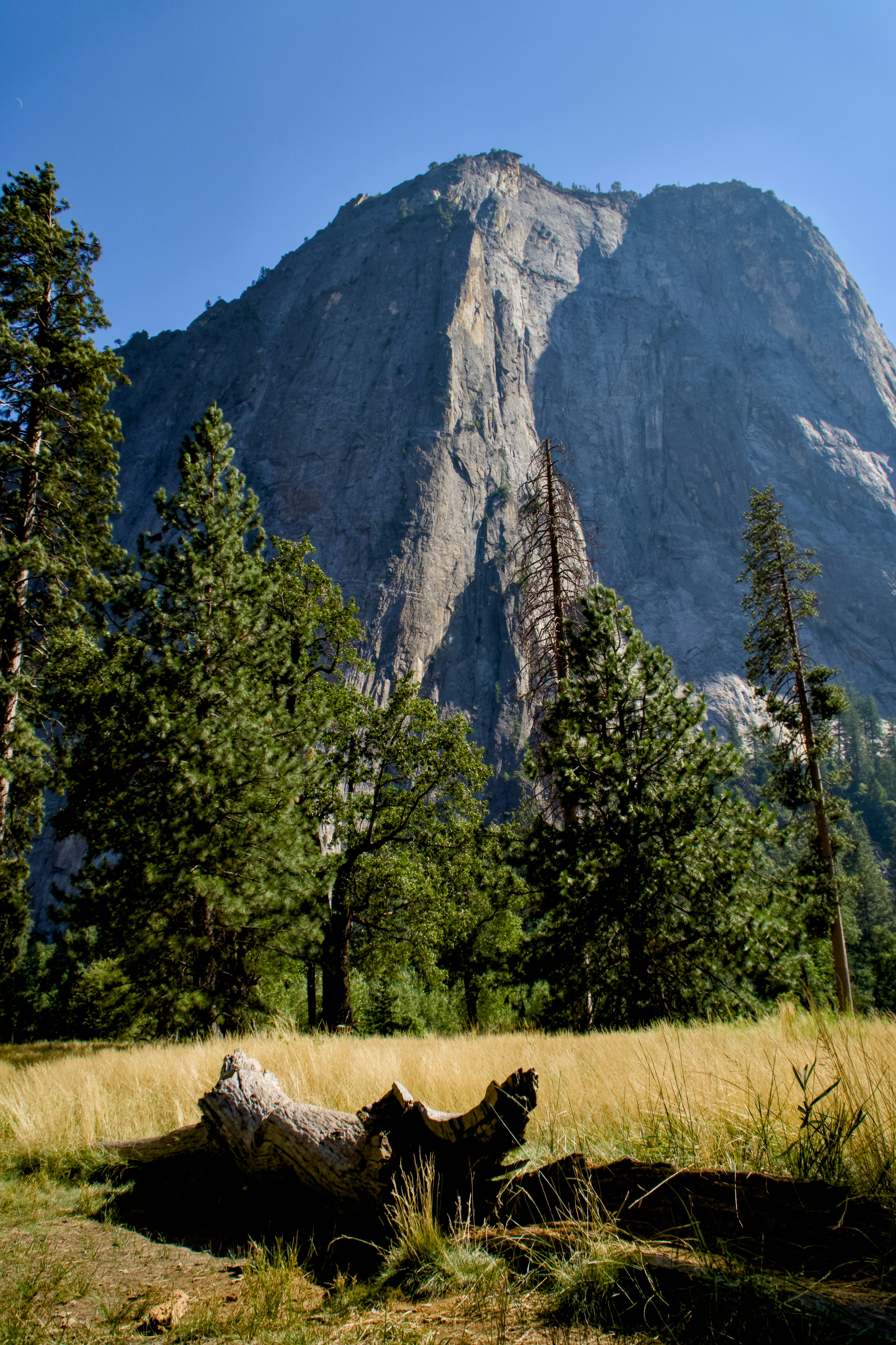 Photo by spencer_demera