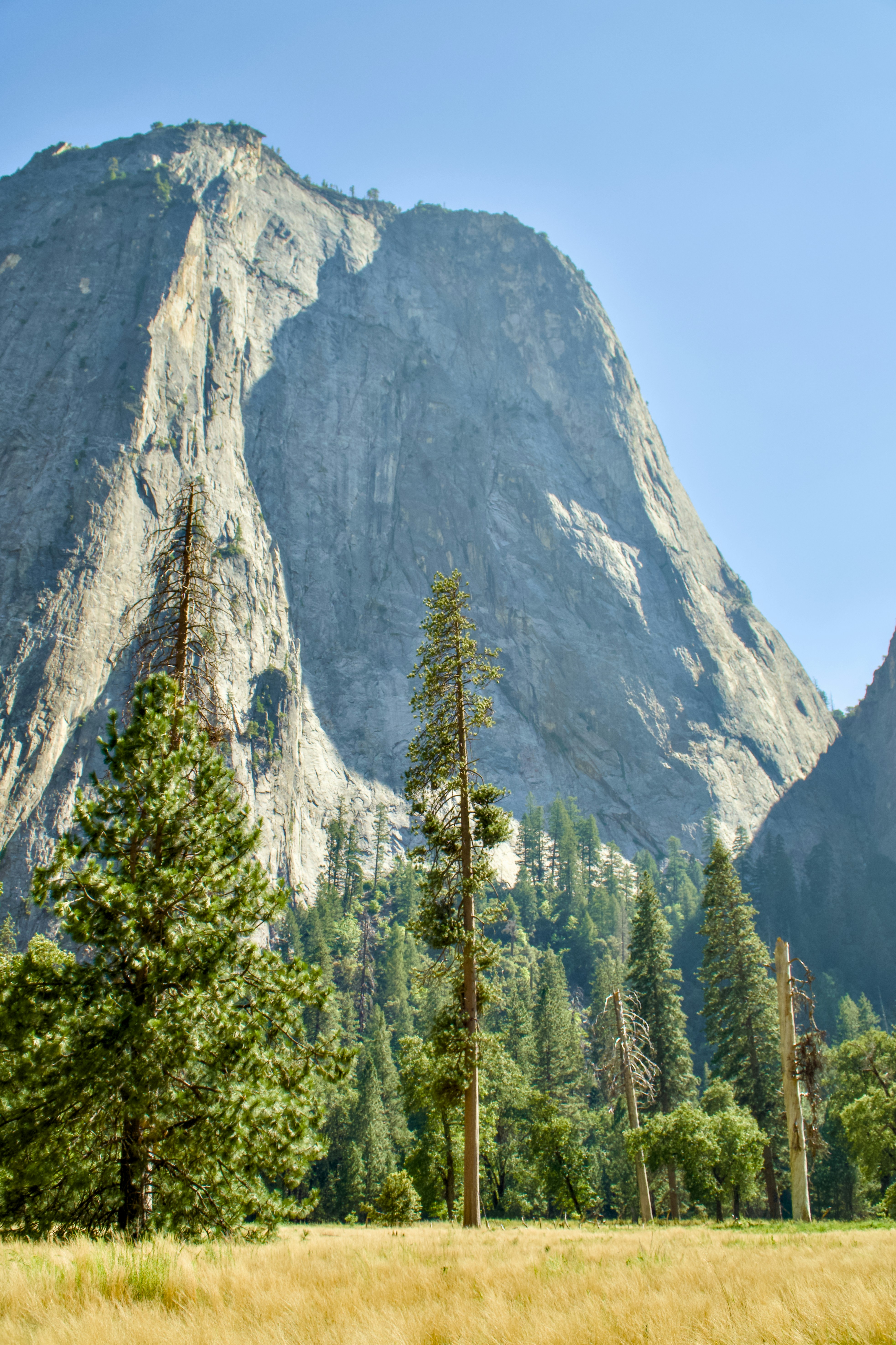 Photo by spencer_demera