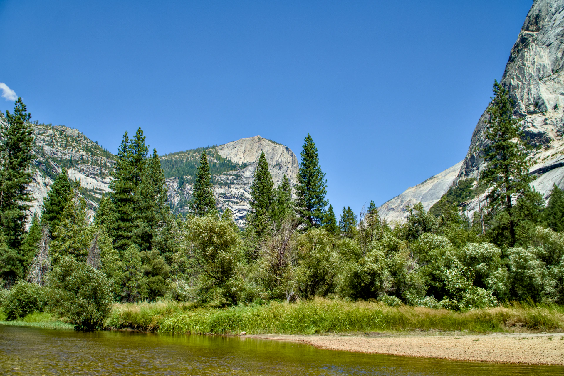 A river running through a lush green forest
