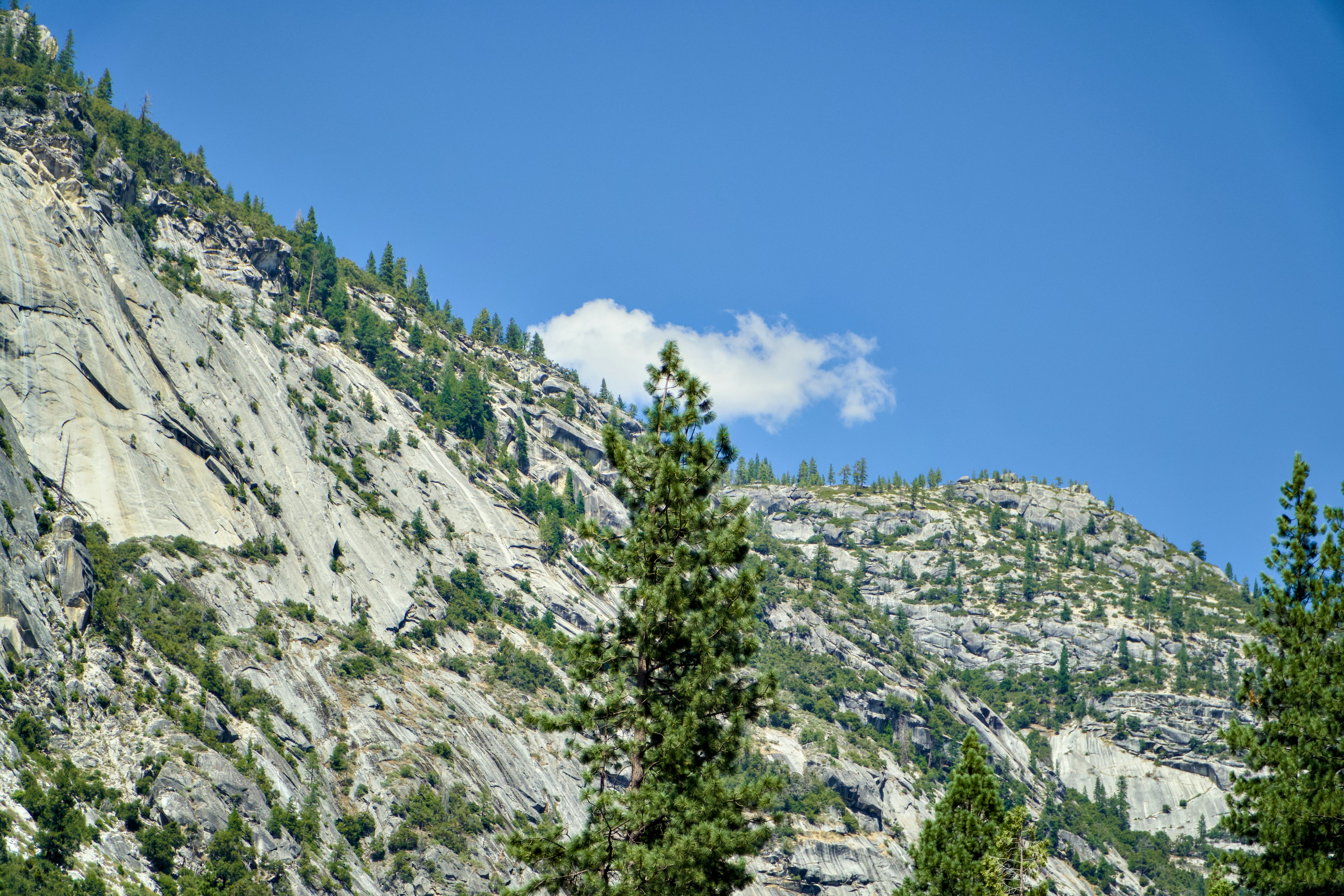 Photo by spencer_demera