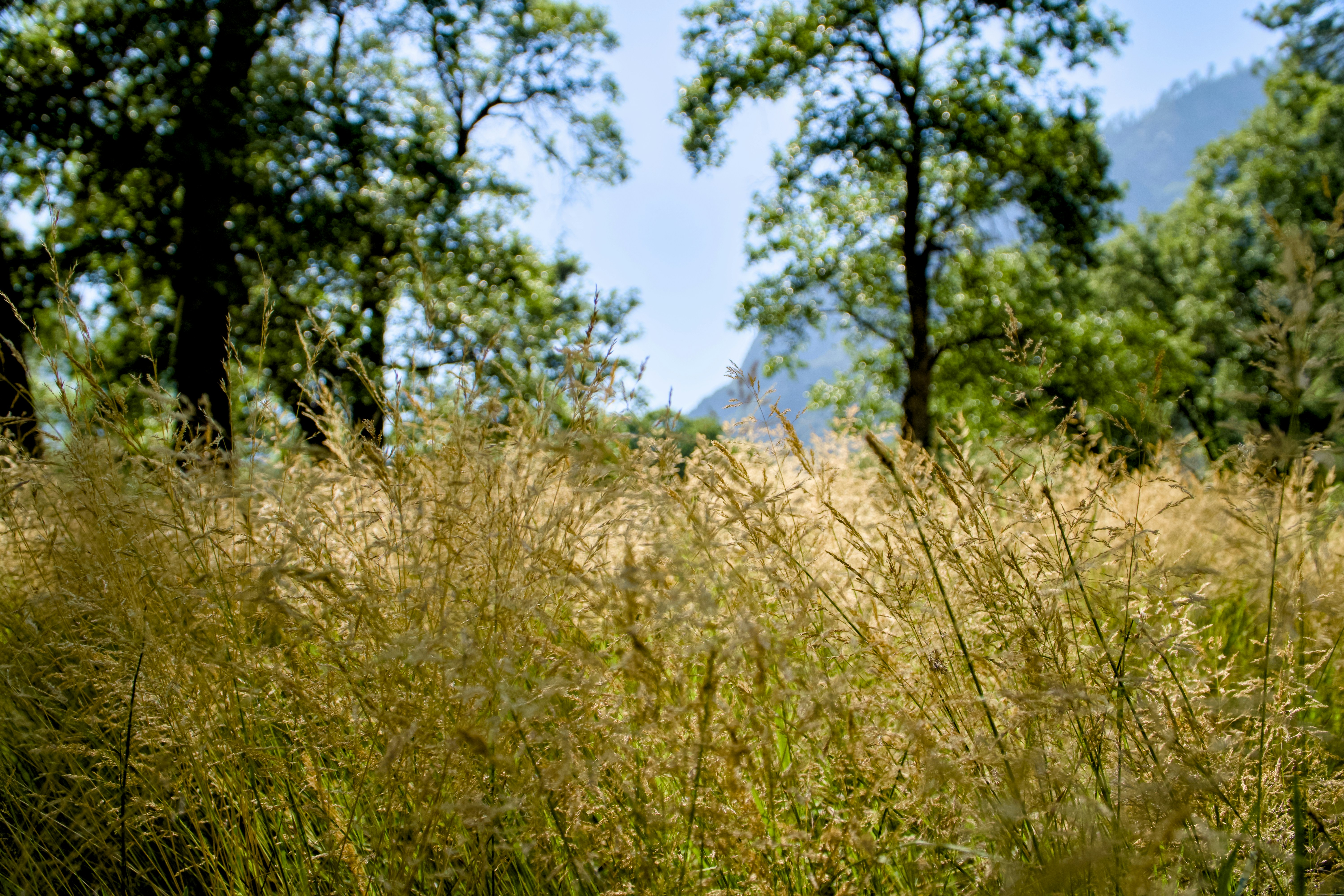 Photo by spencer_demera