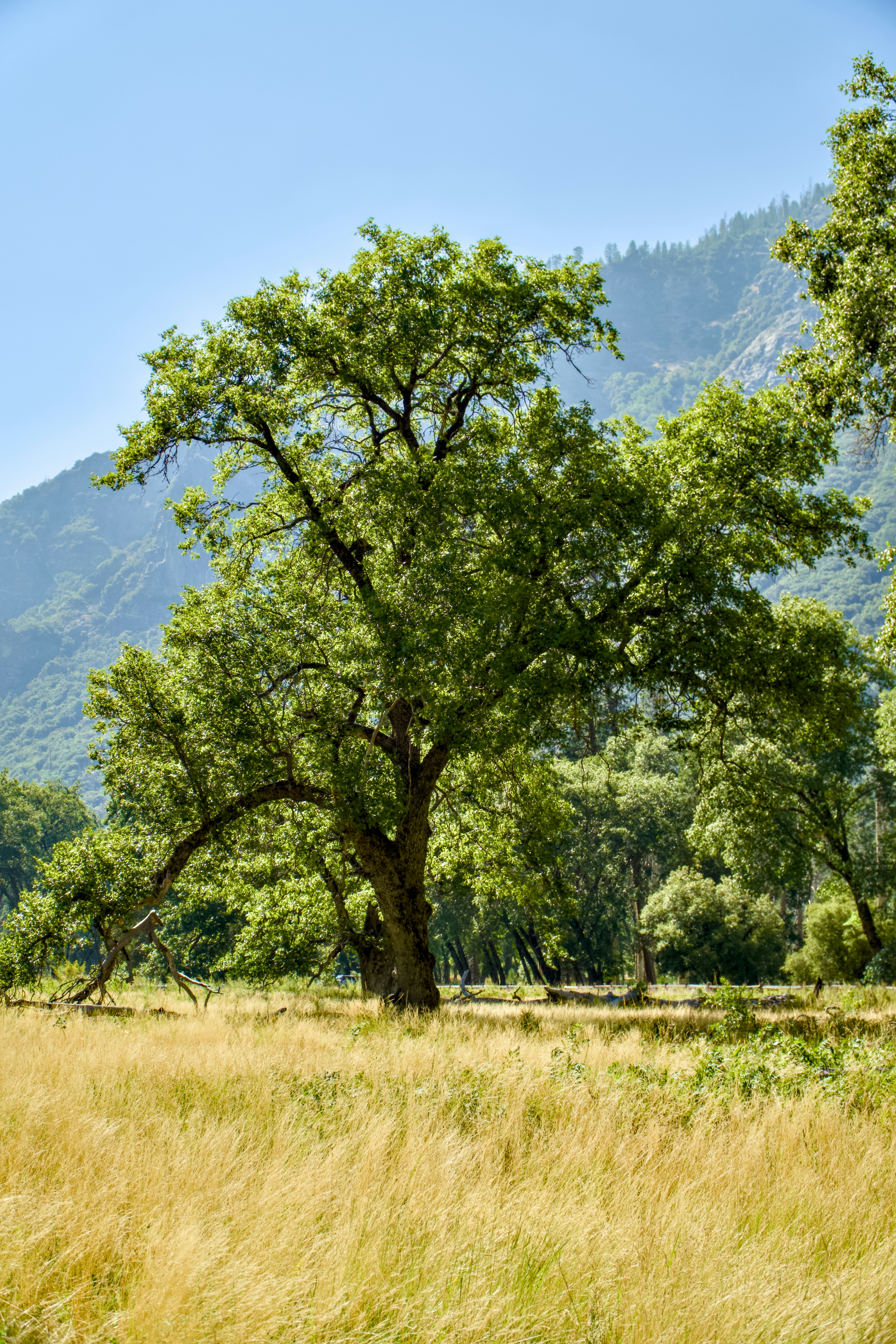 Photo by spencer_demera