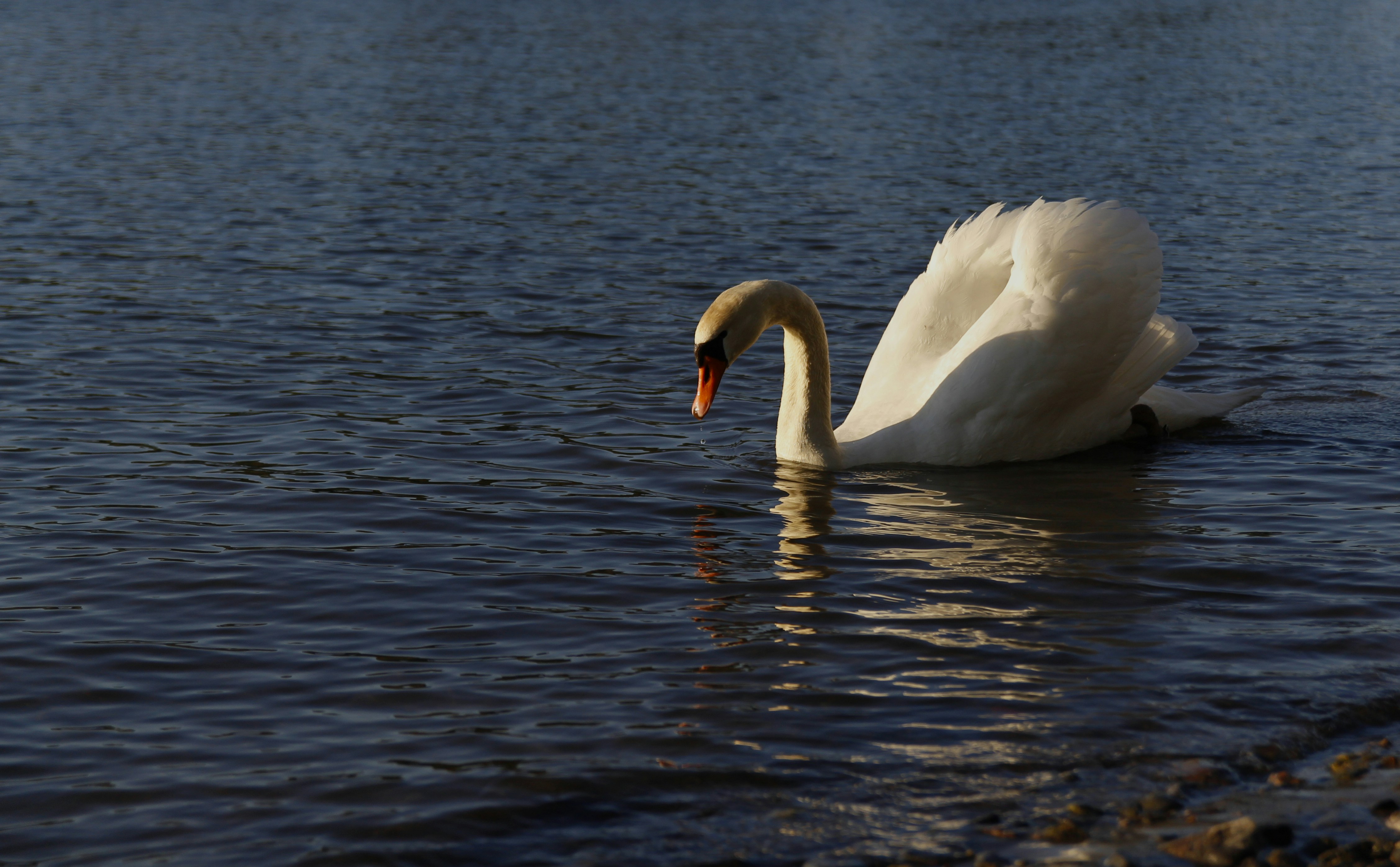 Photo by egemensahiin