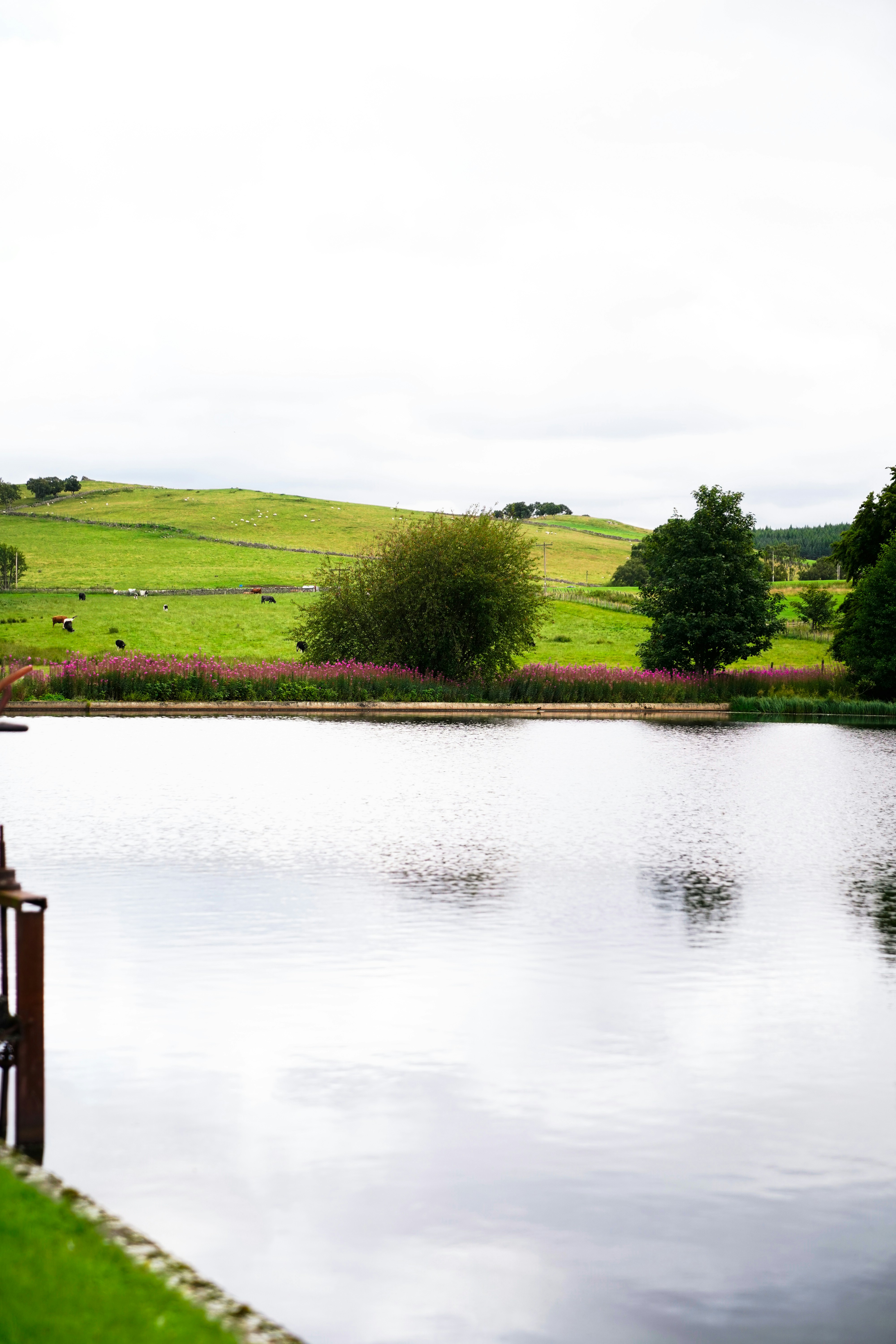 luxury farm wedding landscape, wallpaper, Average Cost of a Wedding at June Farms: Budget Guide 5