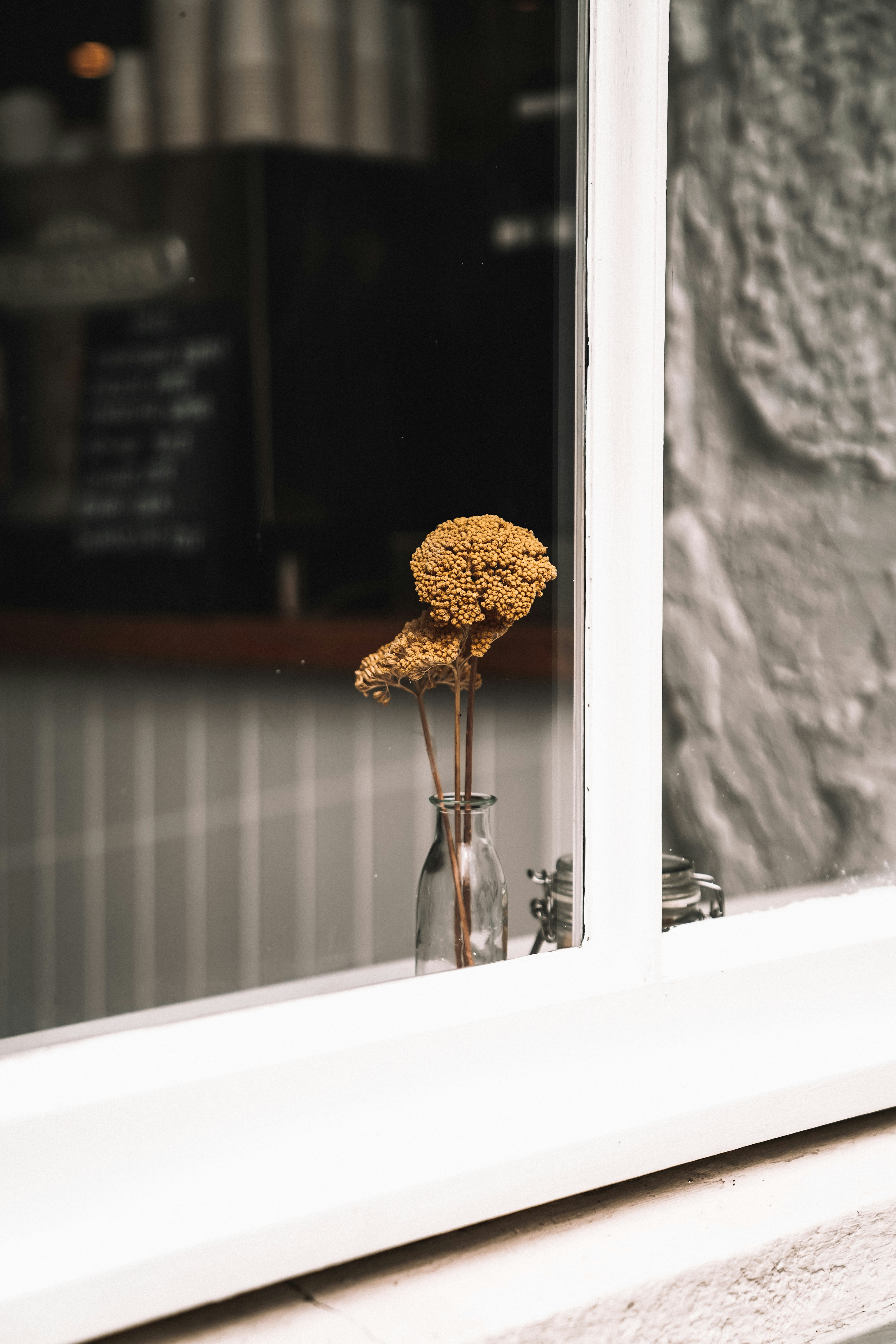 A vase with a dried flower sitting in front of a window