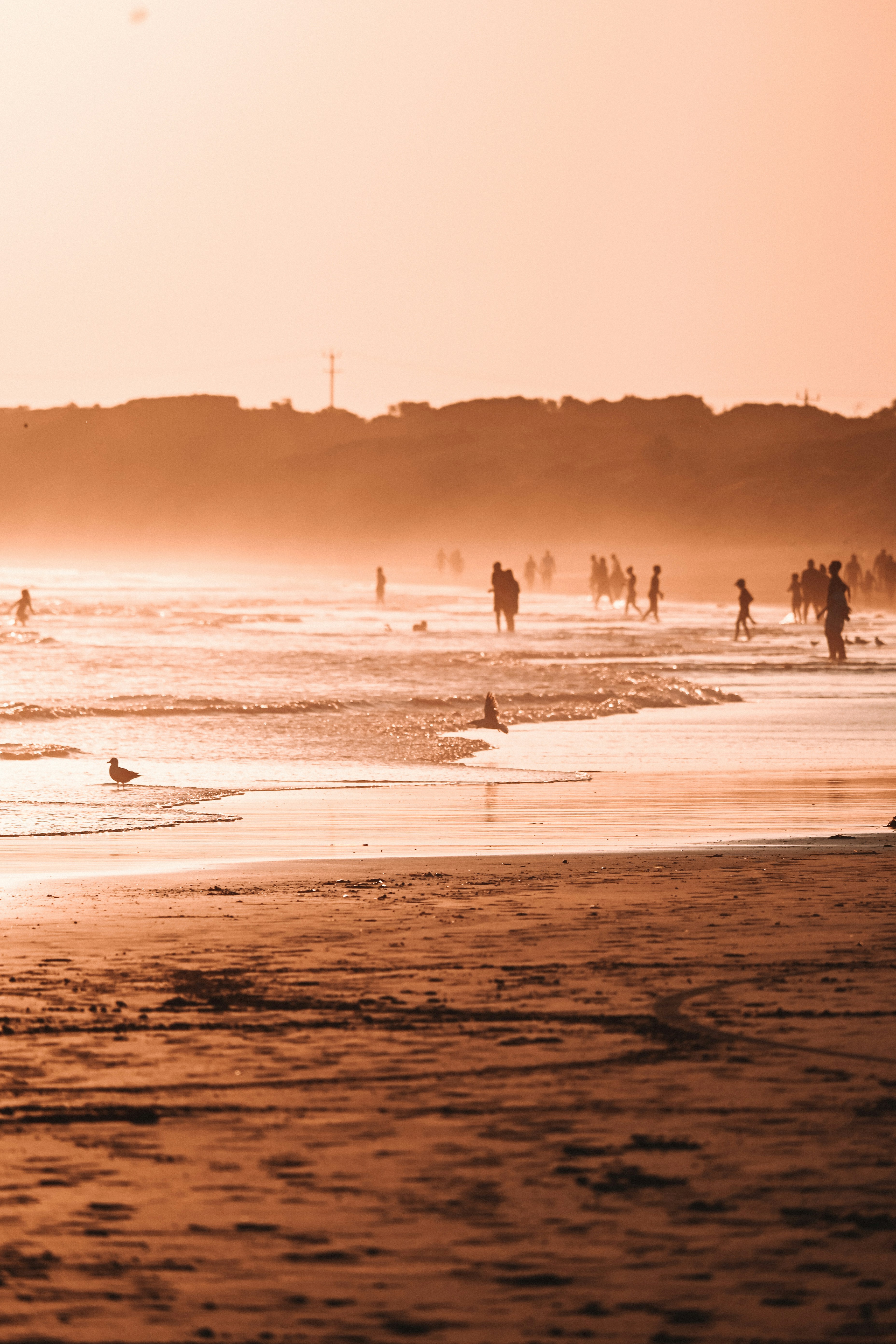A group of people standing on top of a sandy beach
