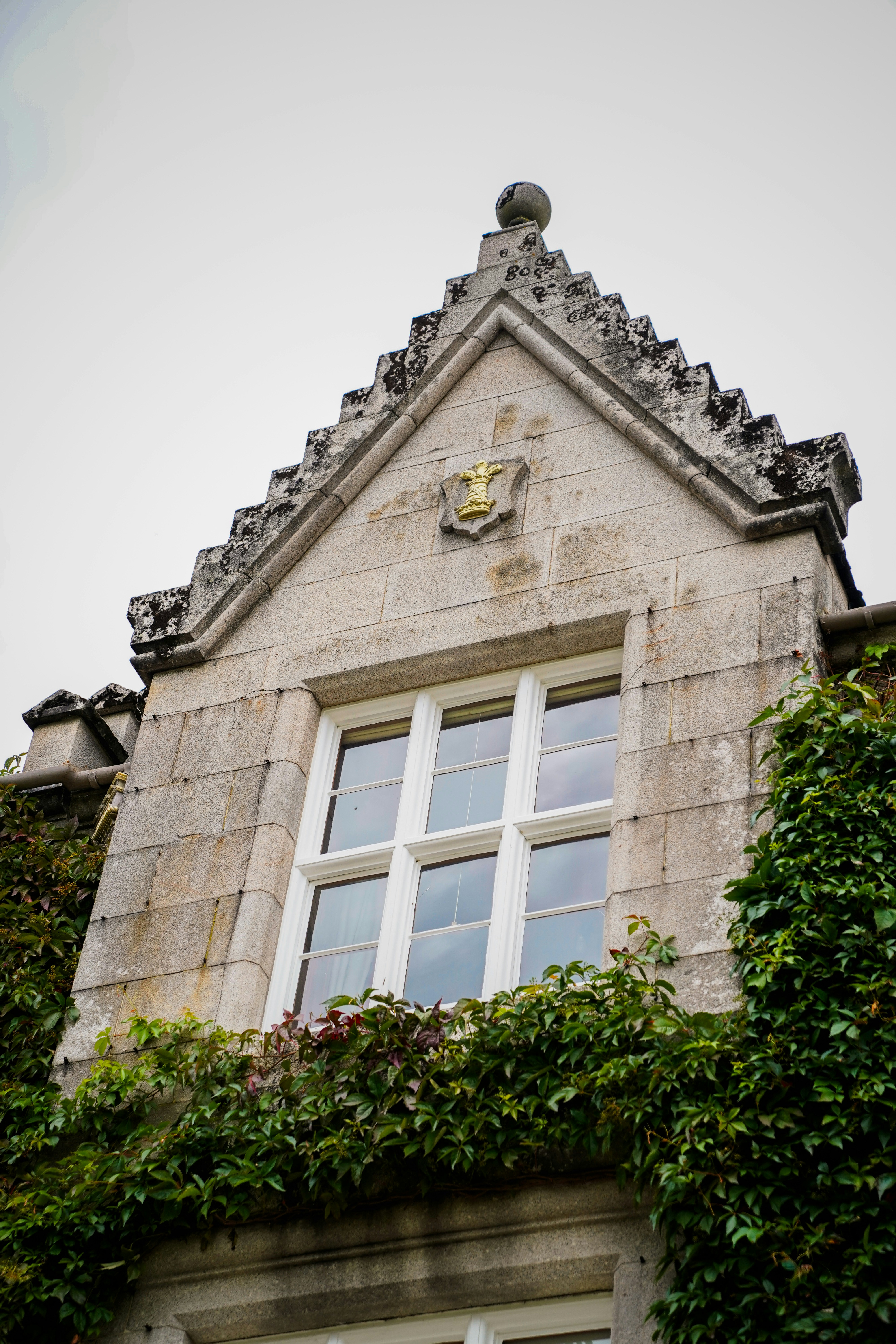 A building with ivy growing up the side of it