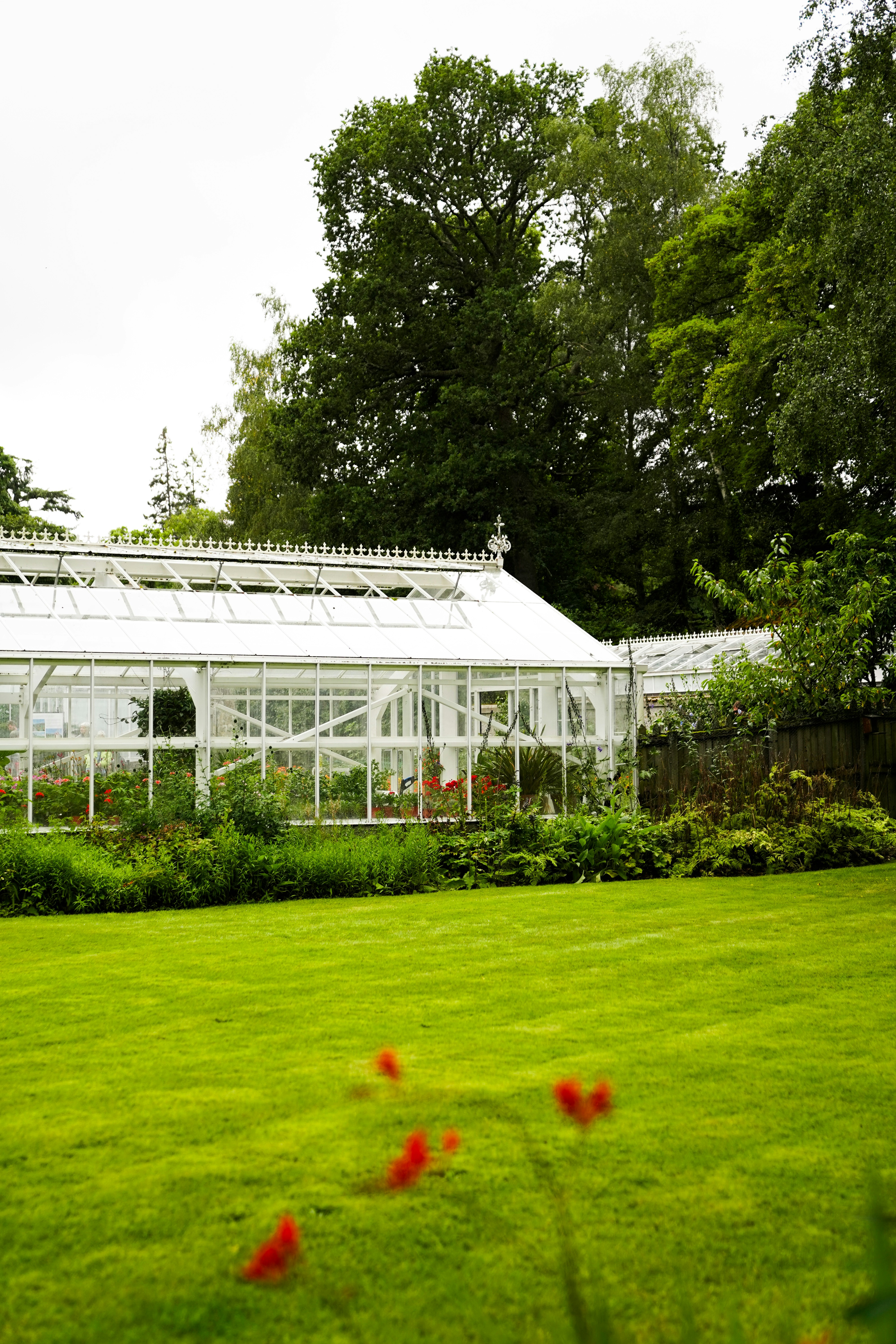 A large green house sitting in the middle of a lush green field