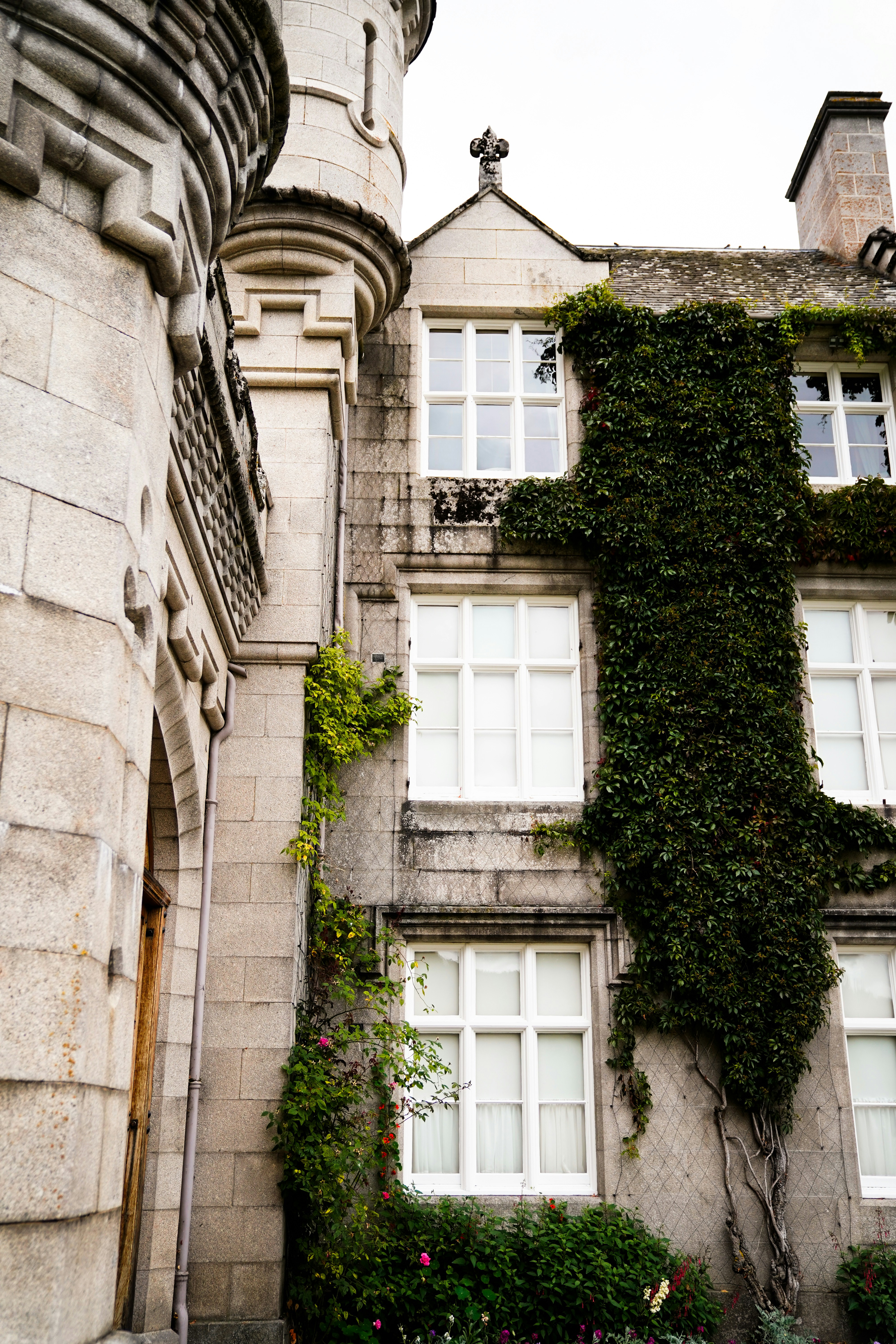 A tall building with ivy growing on it's side