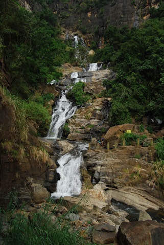 A small waterfall in the middle of a forest