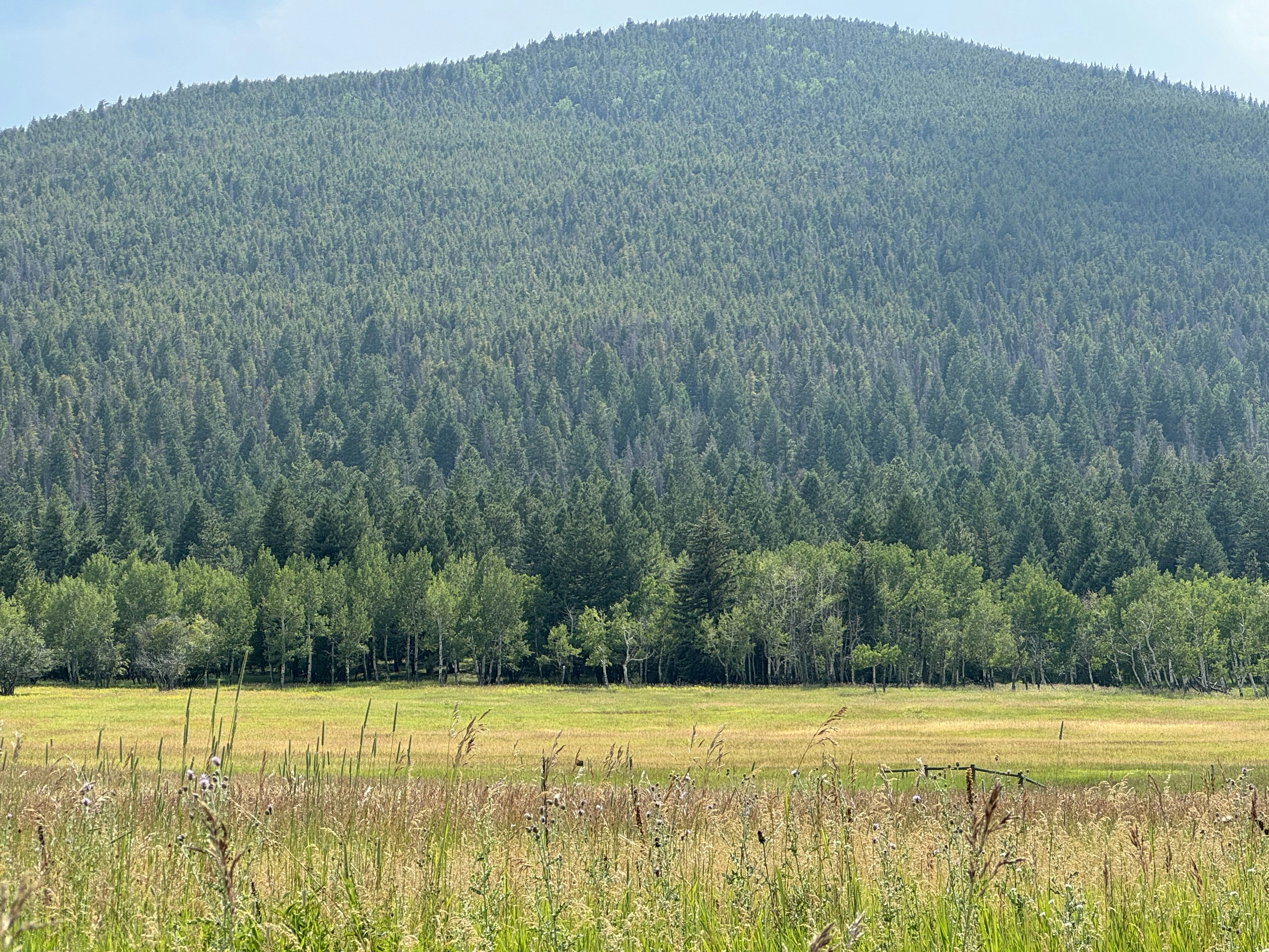 Photo by evergreene24