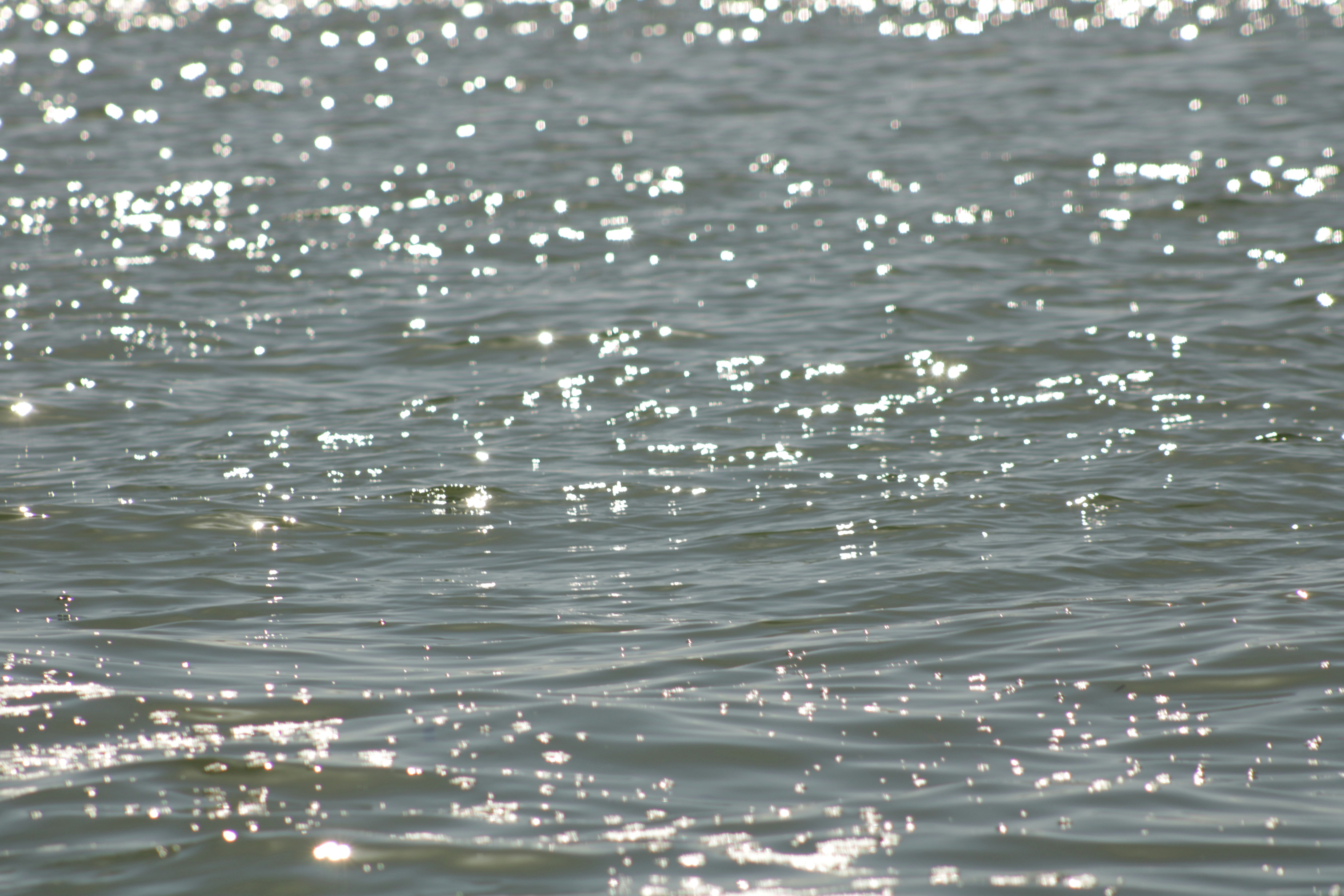 Photo by yenniferfilms