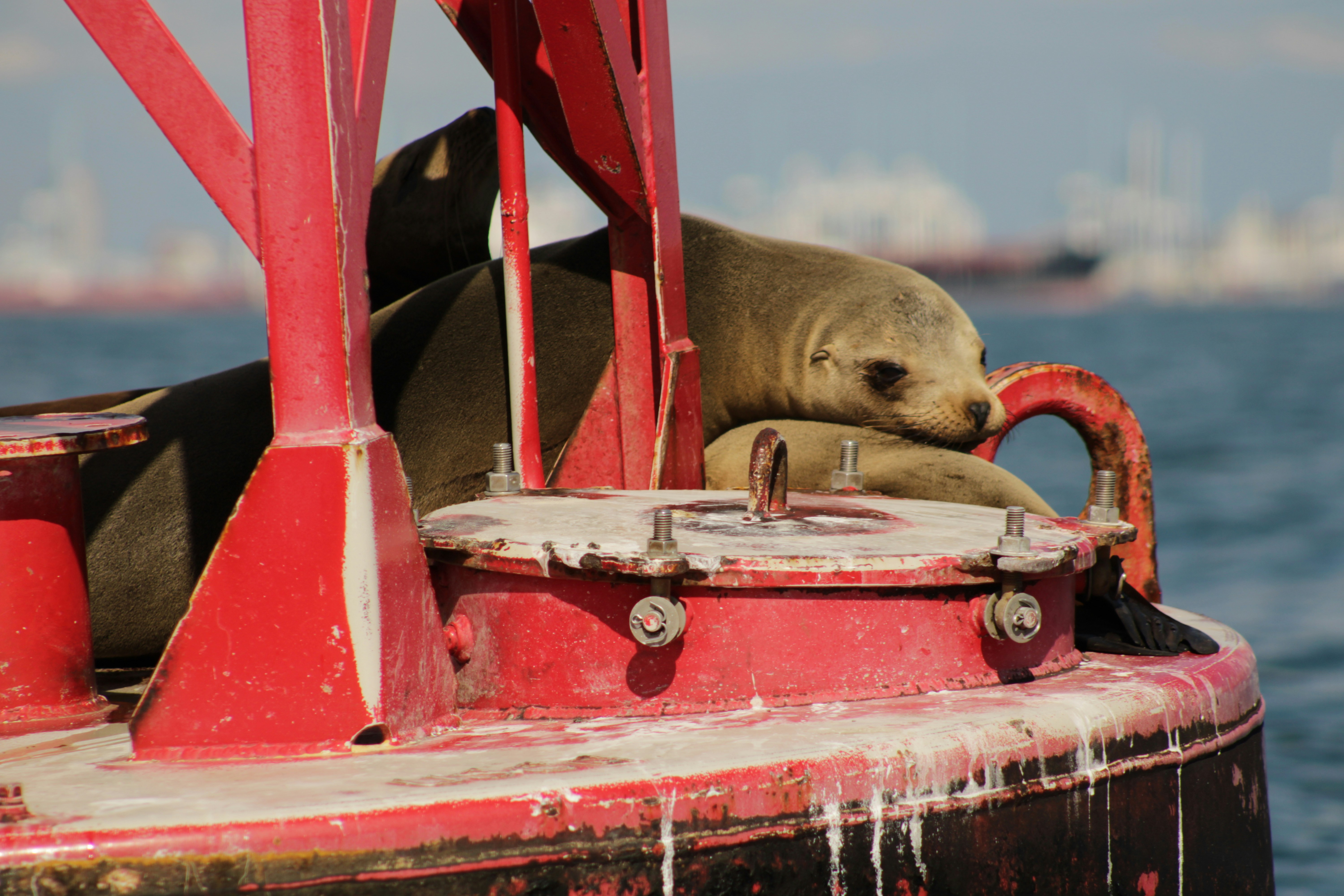 Photo by yenniferfilms