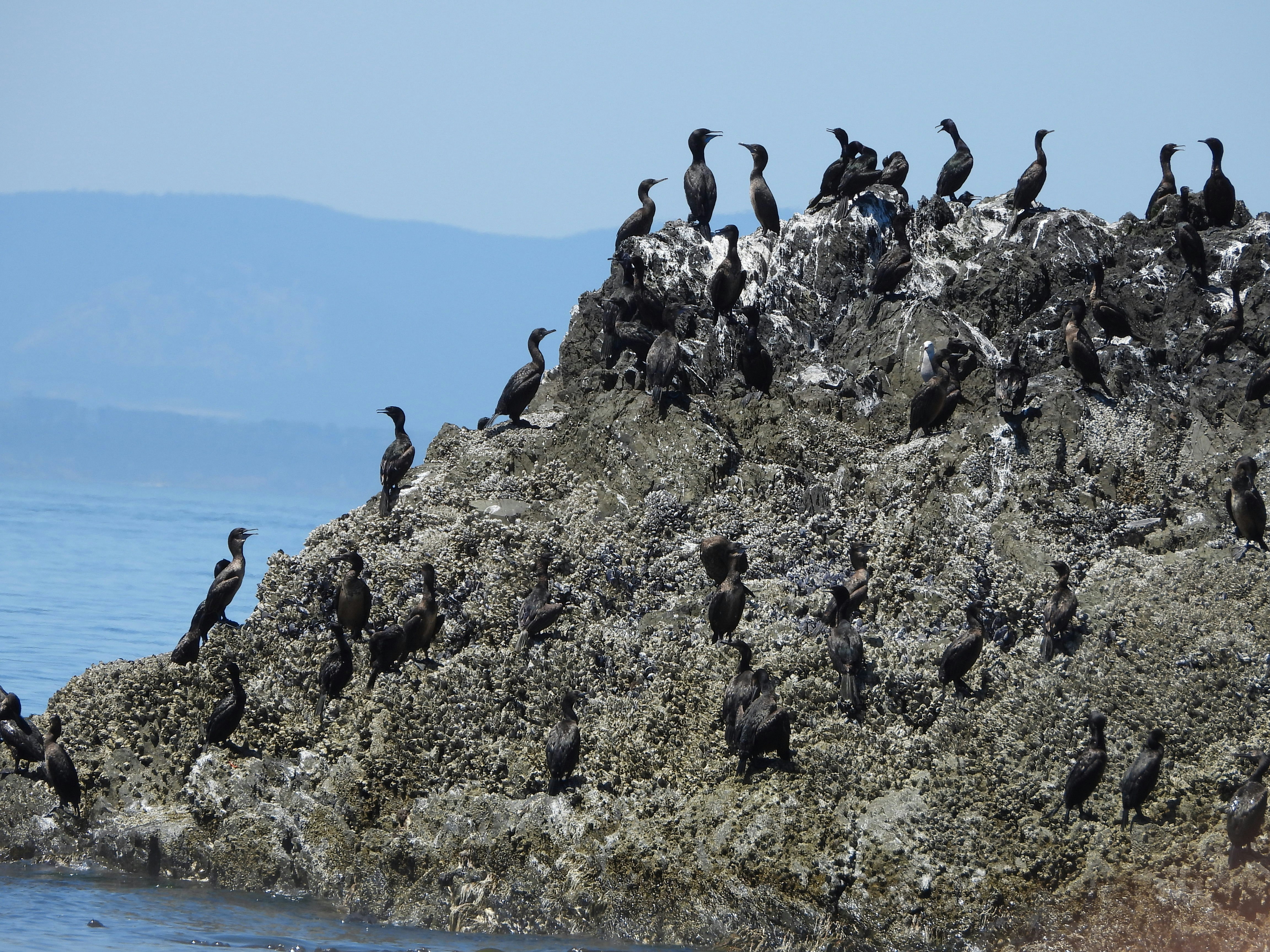 Photo by evergreene24