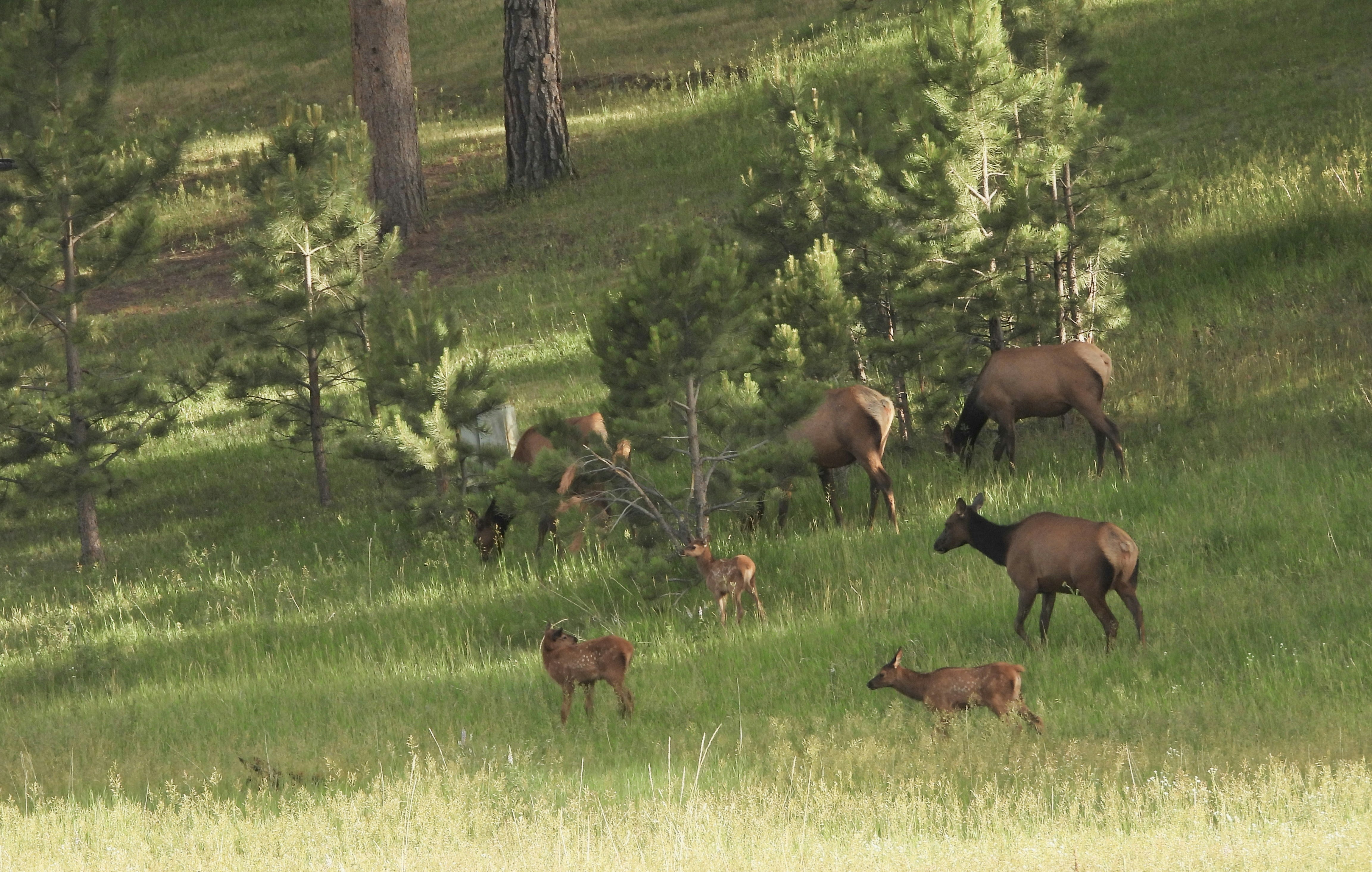 Photo by evergreene24