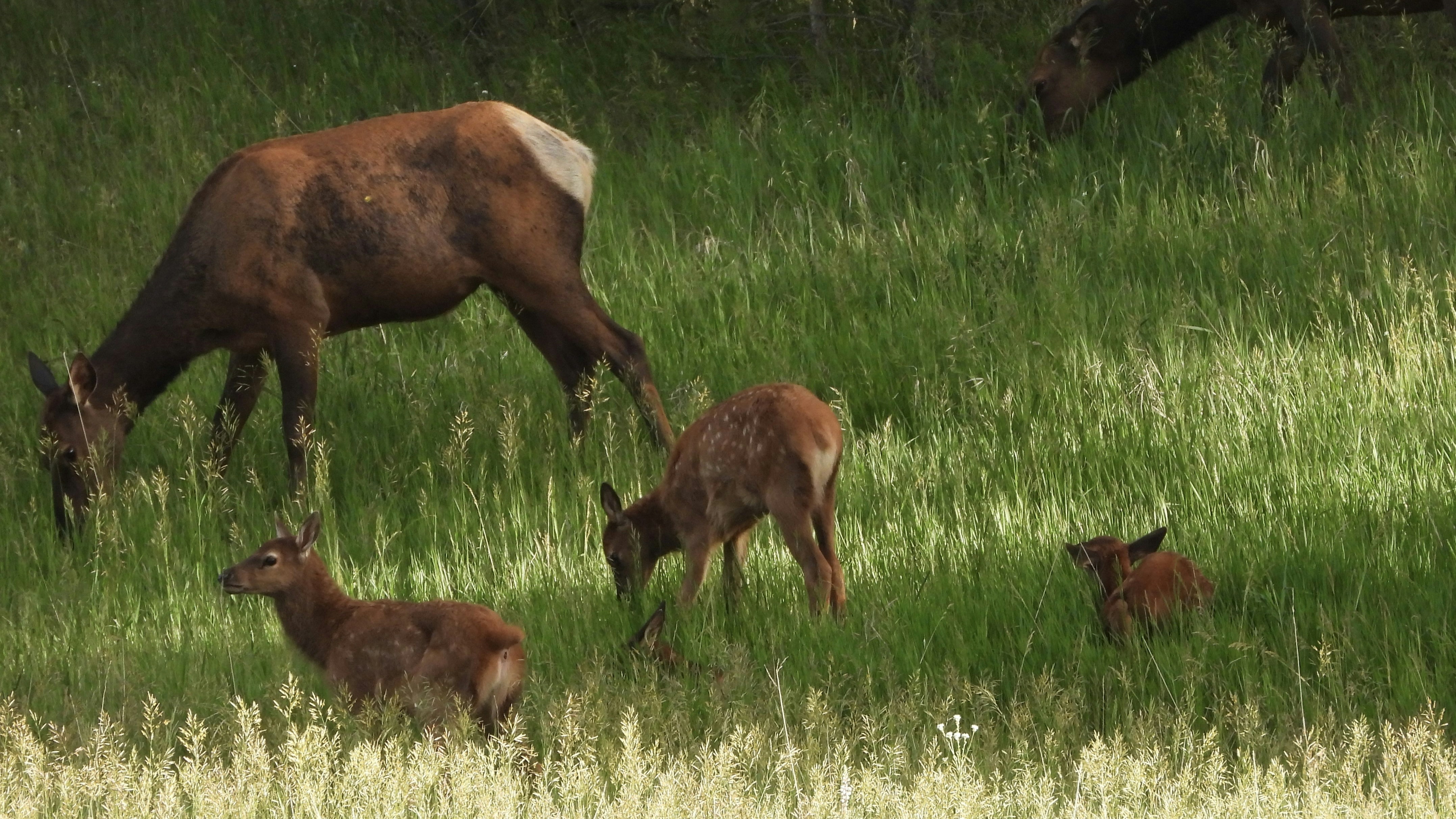 Photo by evergreene24