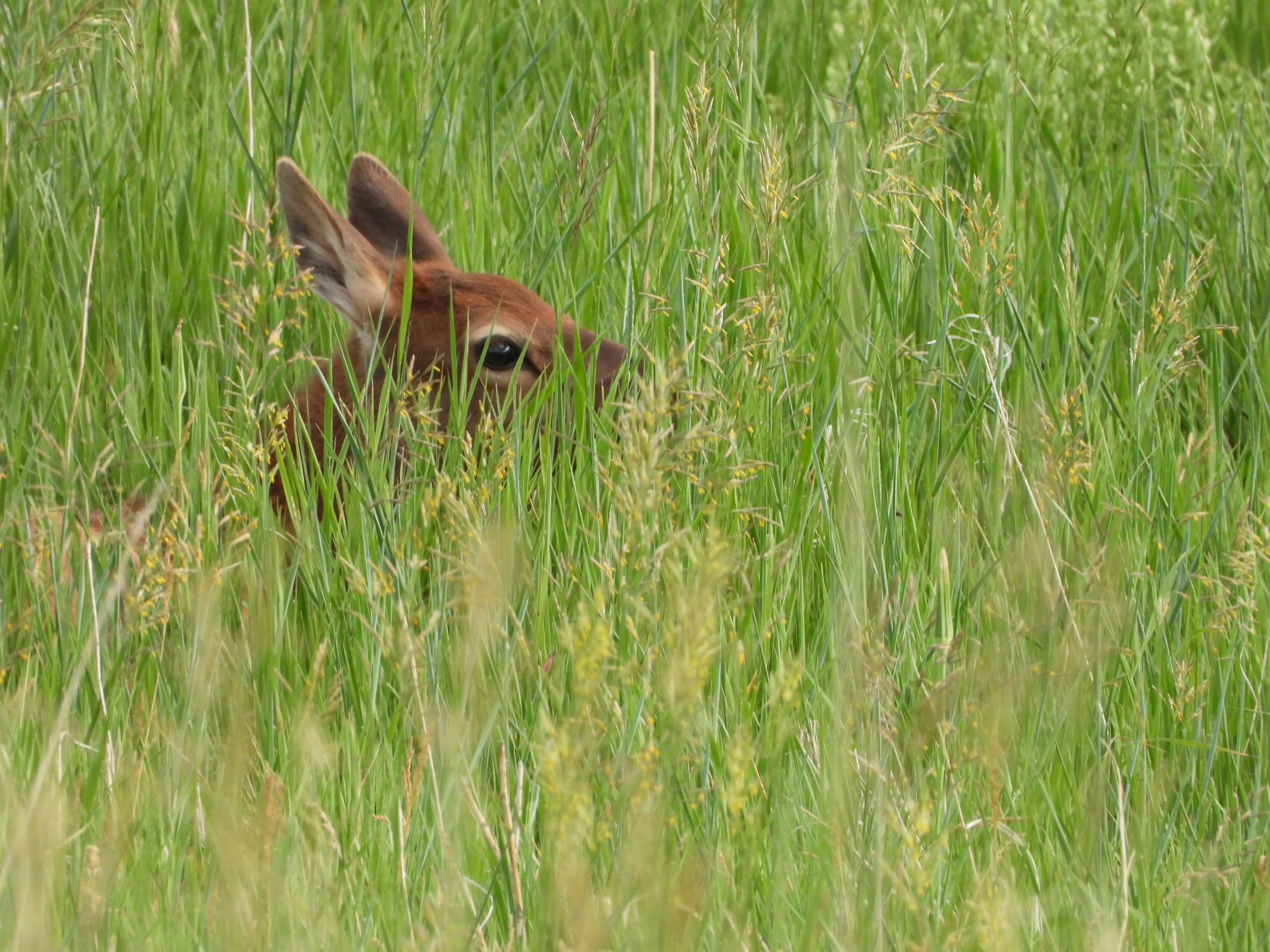 Photo by evergreene24