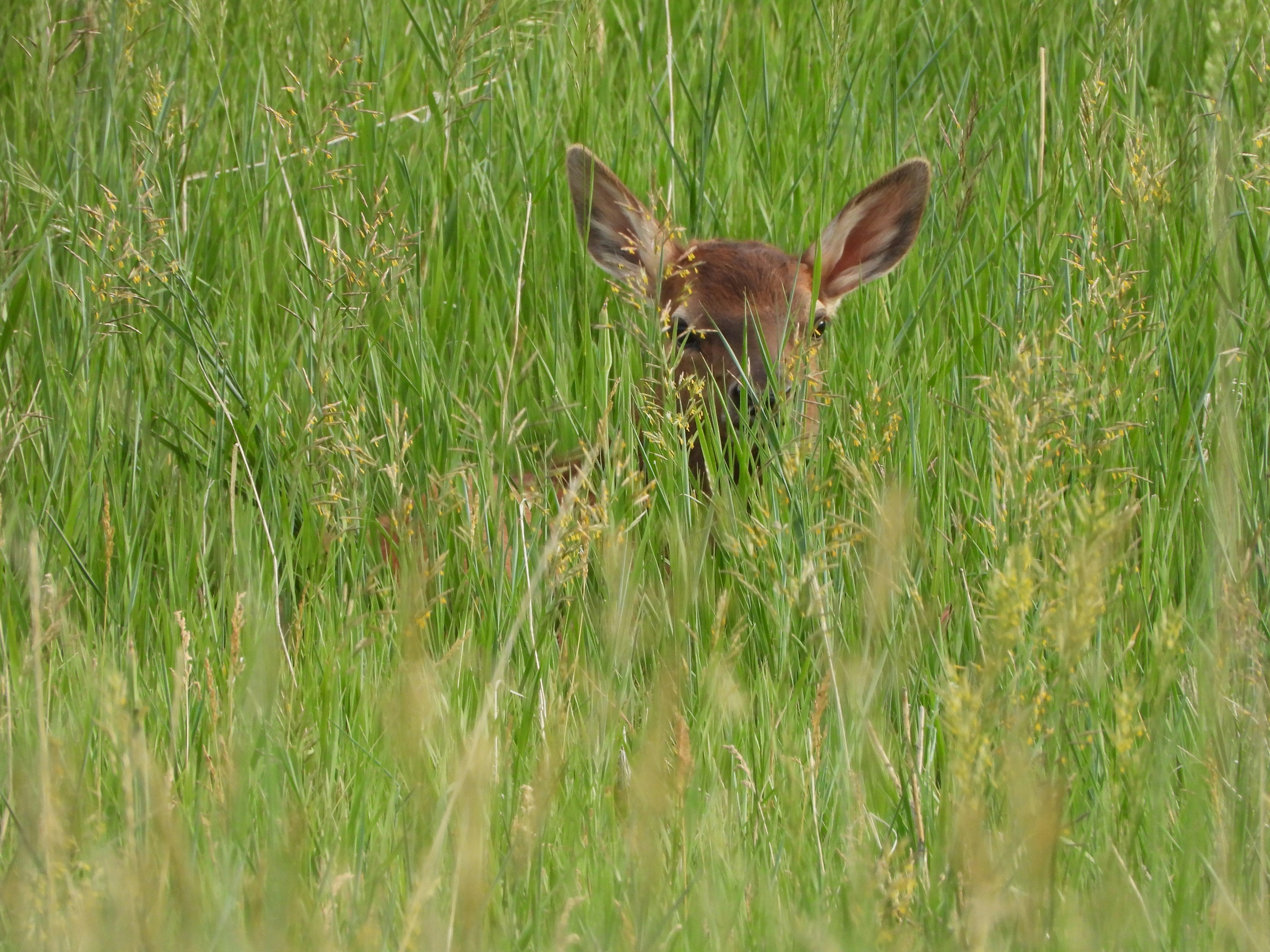 Photo by evergreene24