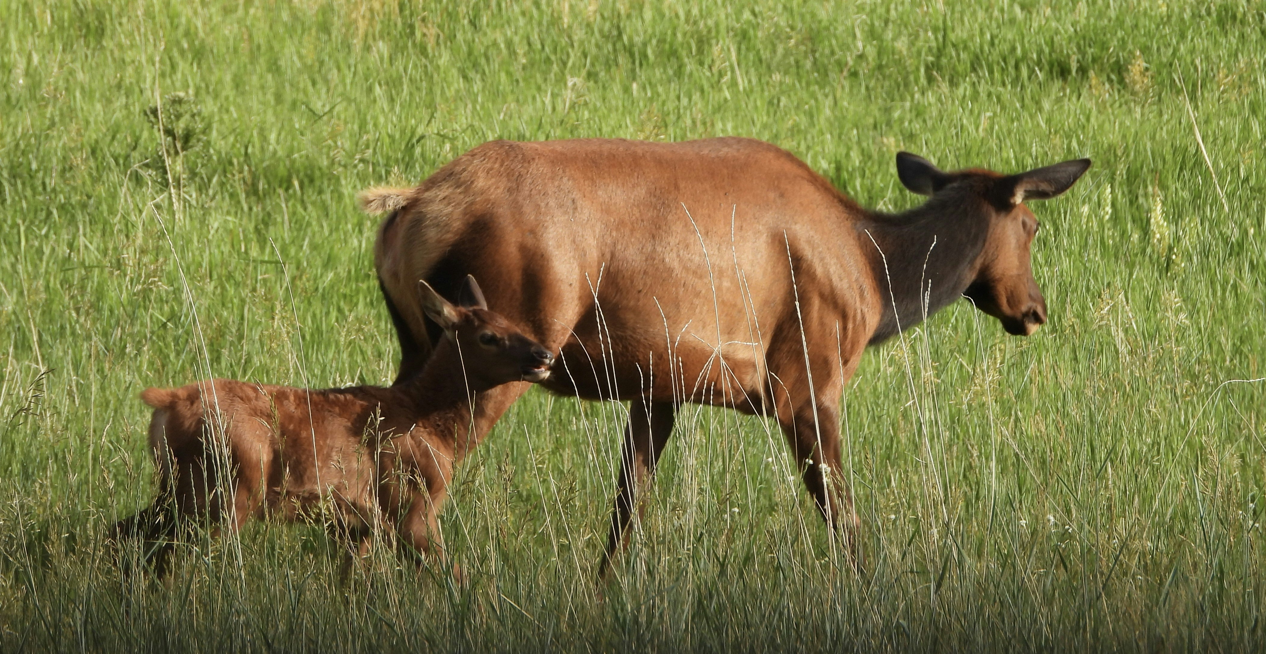 Photo by evergreene24