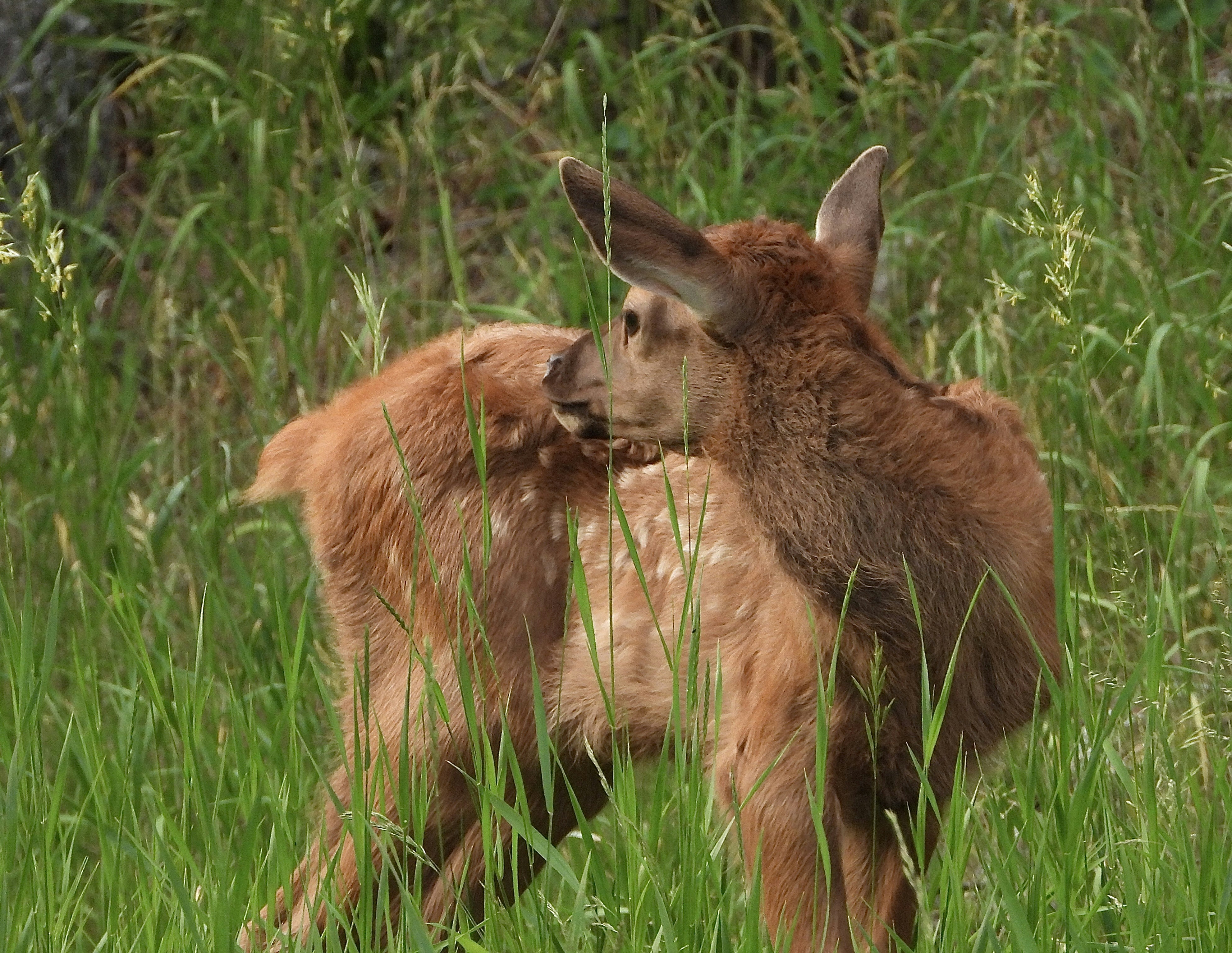 Photo by evergreene24