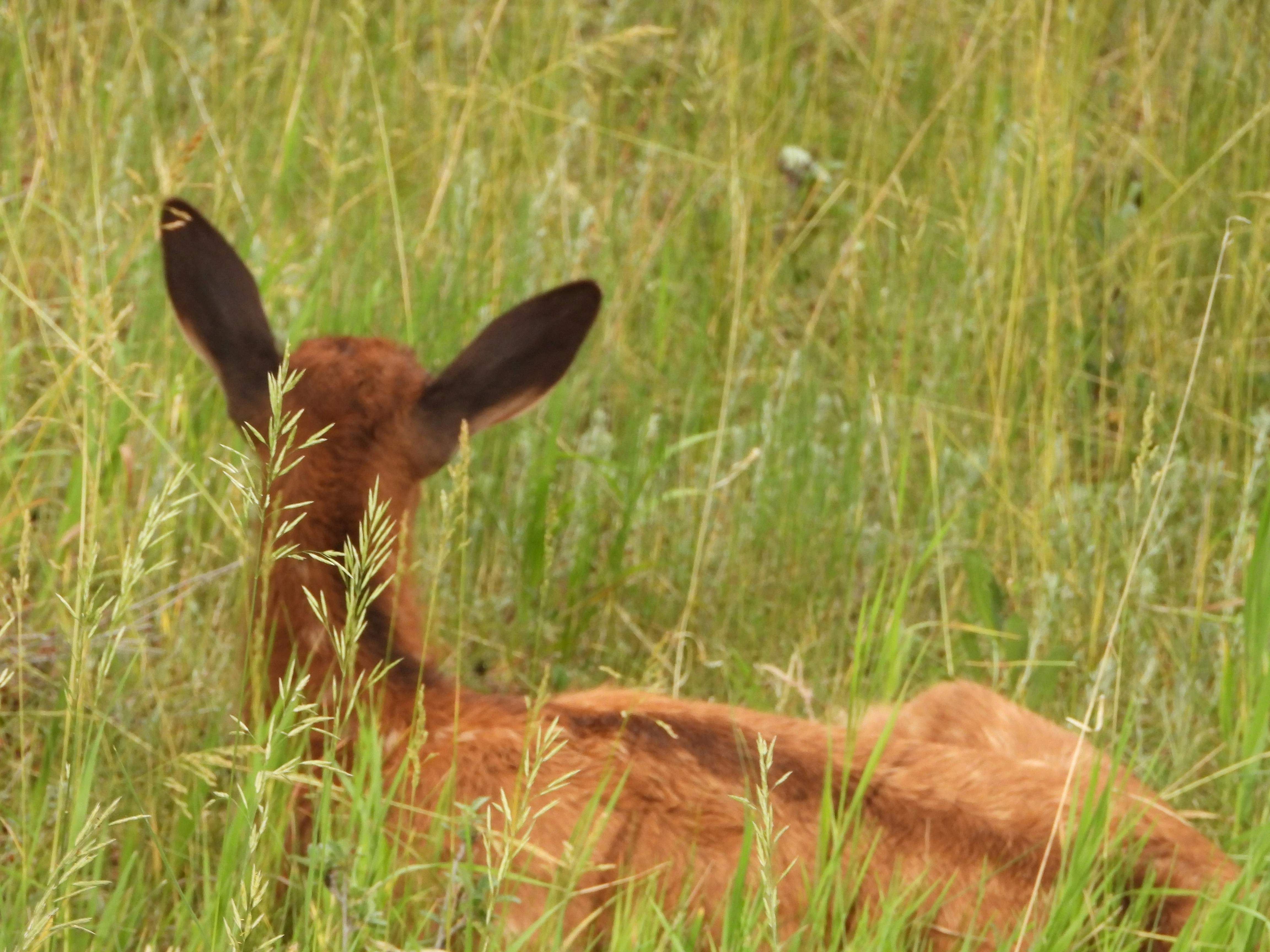 Photo by evergreene24