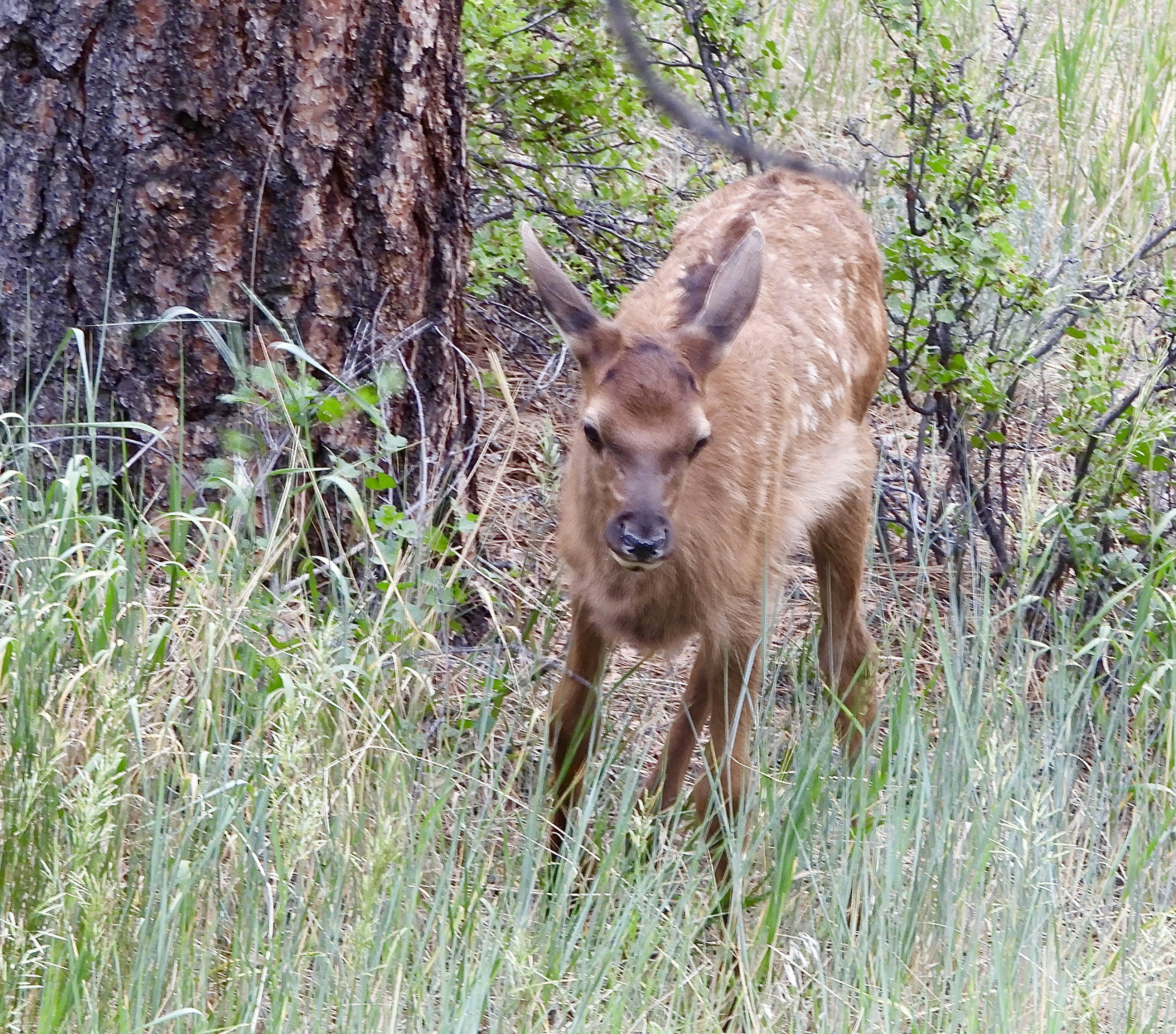 Photo by evergreene24