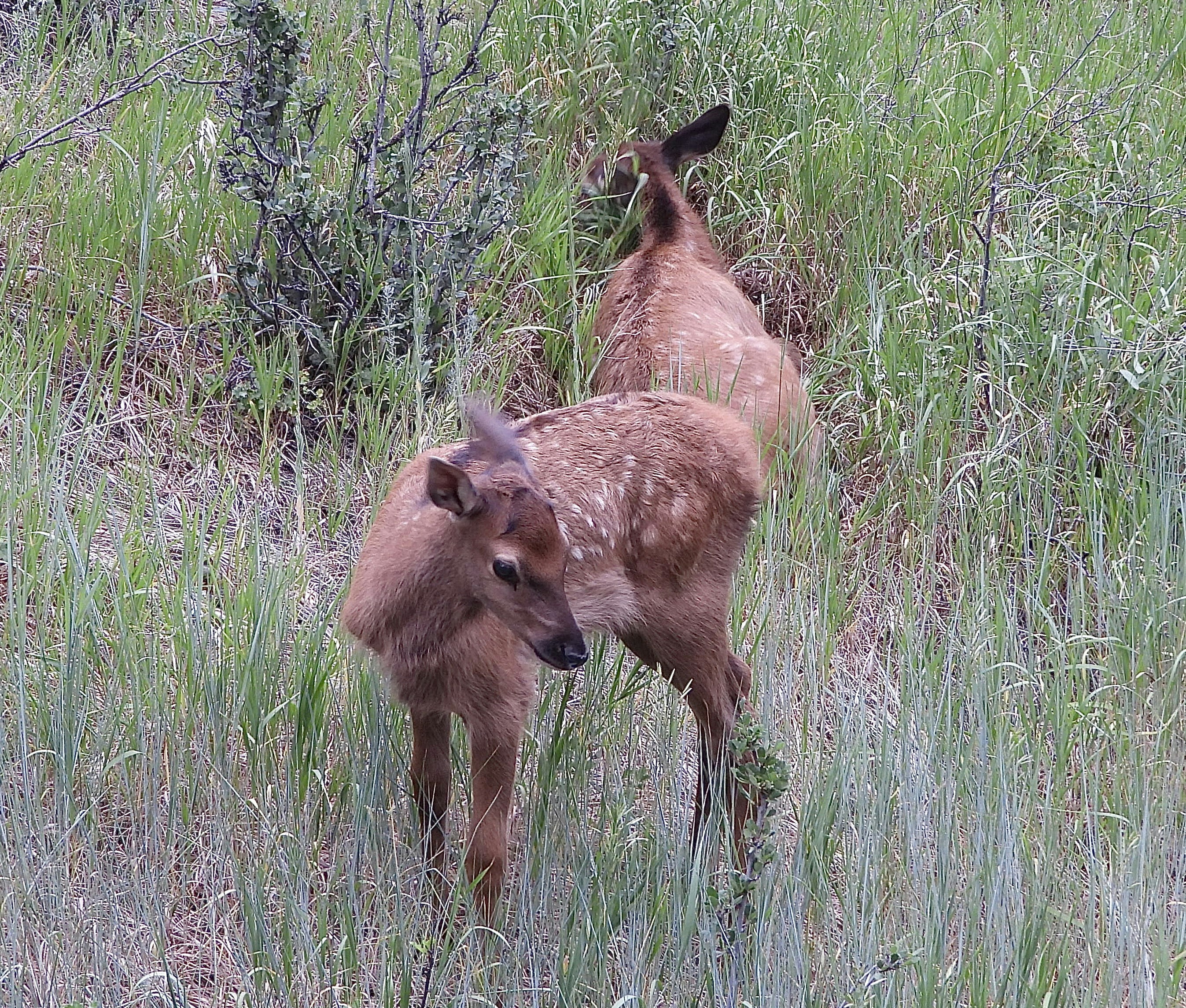 Photo by evergreene24