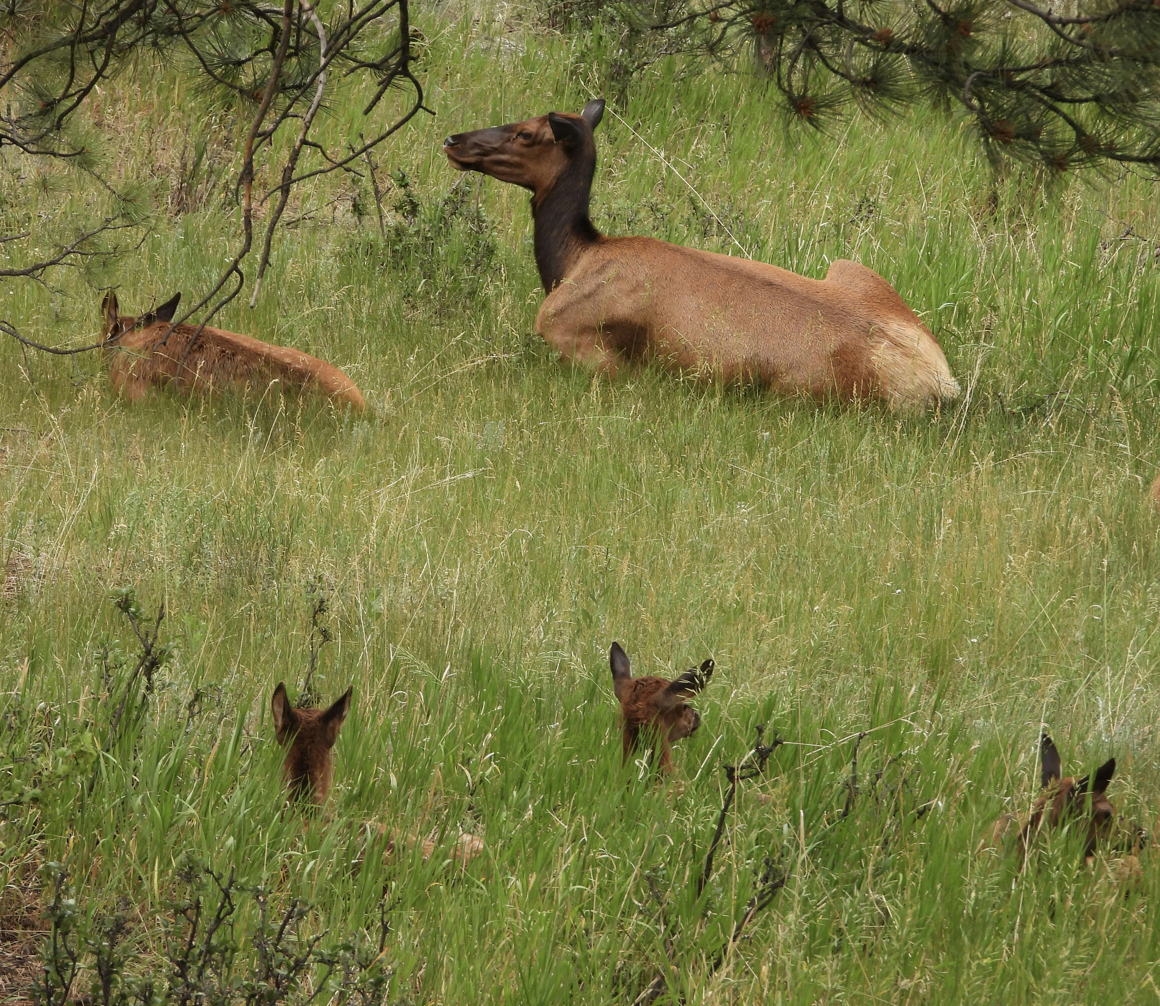 Photo by evergreene24