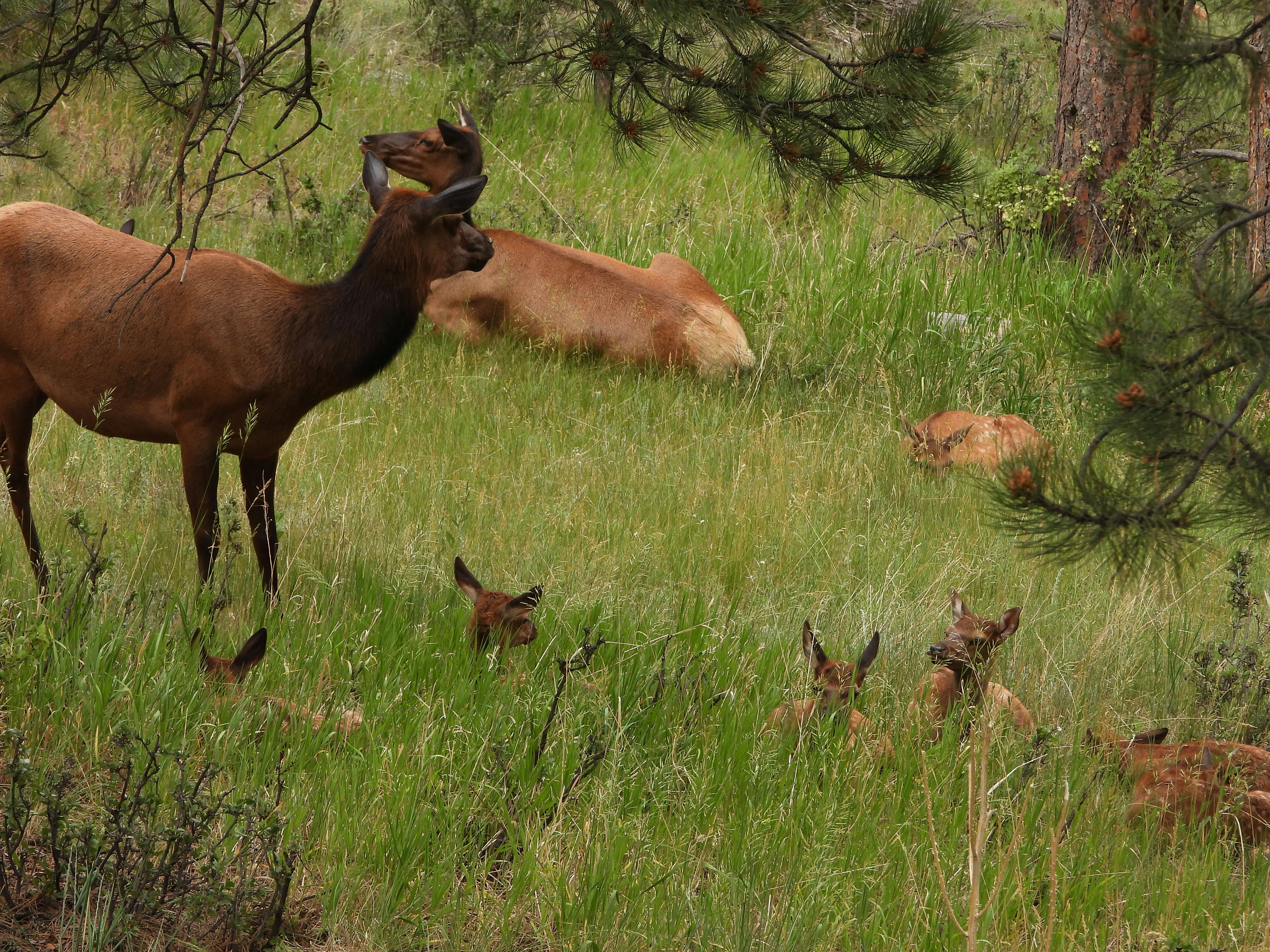 Photo by evergreene24