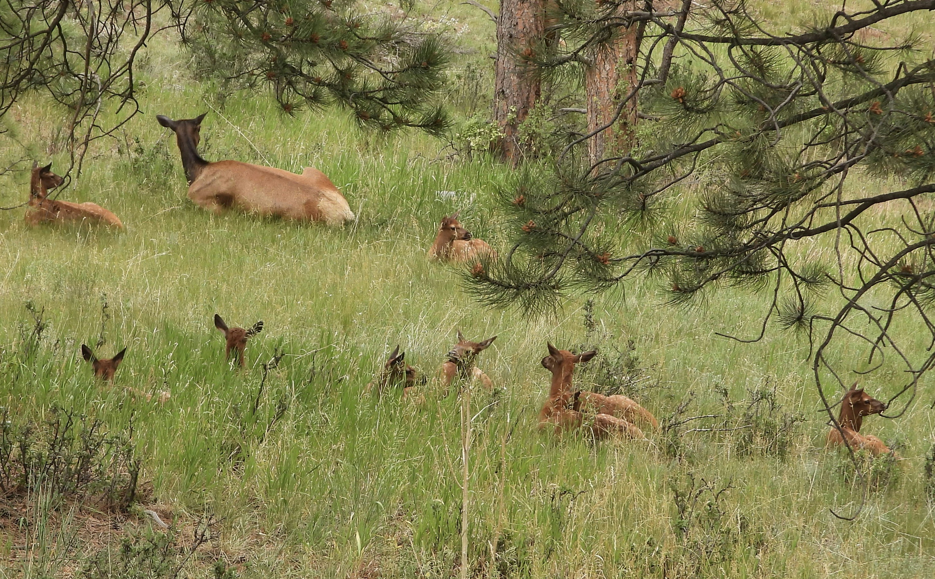 Photo by evergreene24